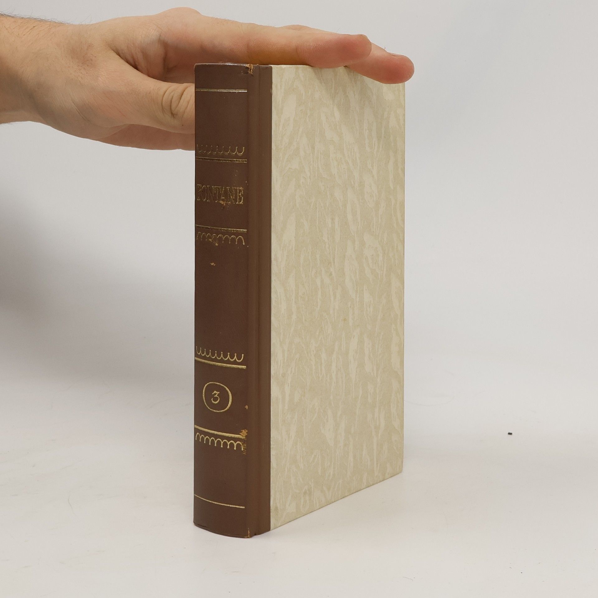 Theodor Fontane Gesammelte Werke 3