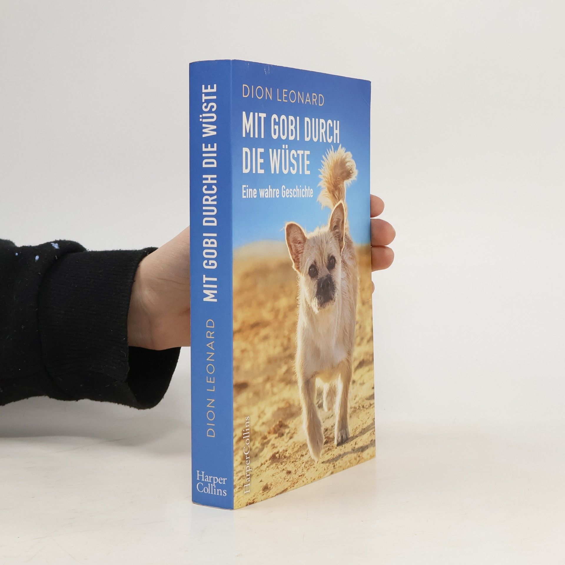 Dion Leonard Mit Gobi durch die Wüste