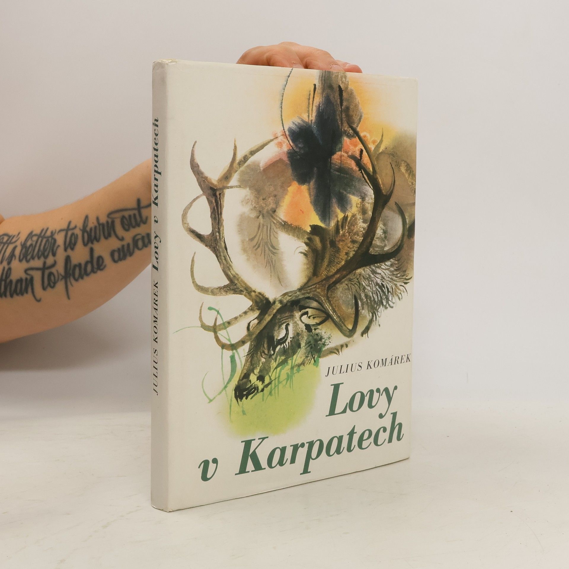 Julius Komárek Lovy v Karpatech