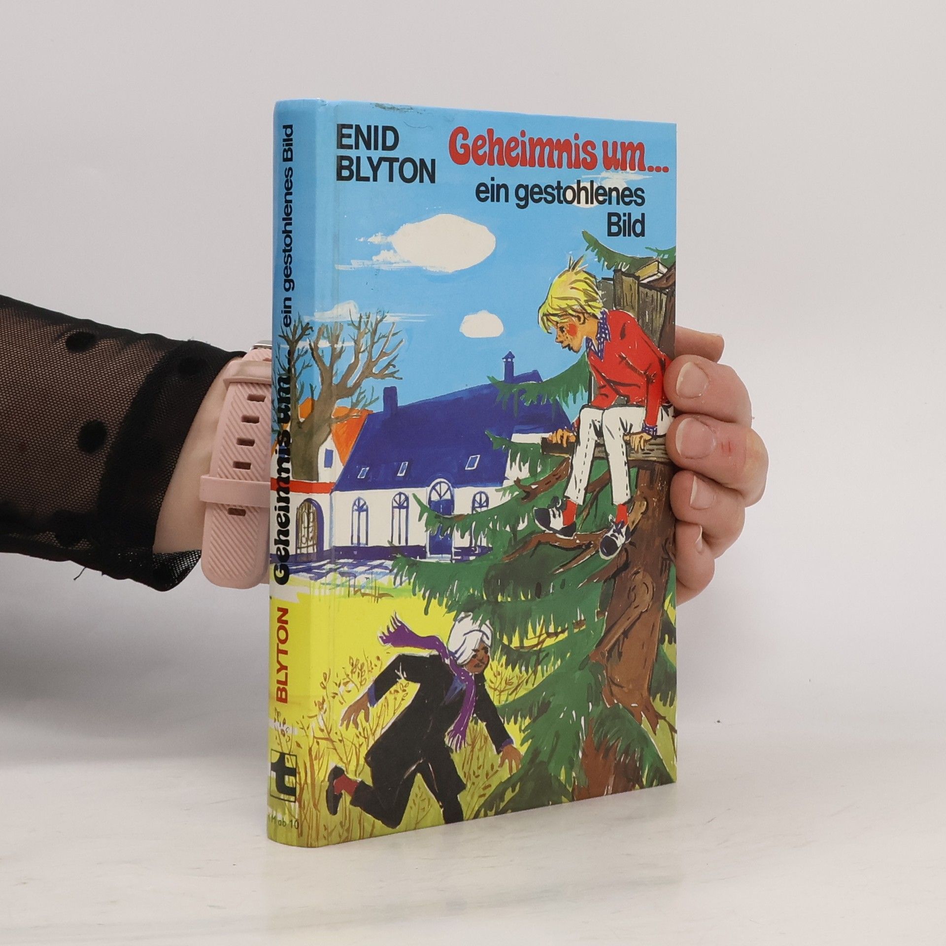 Enid Blyton Geheimnis um ein gestohlenes Bild