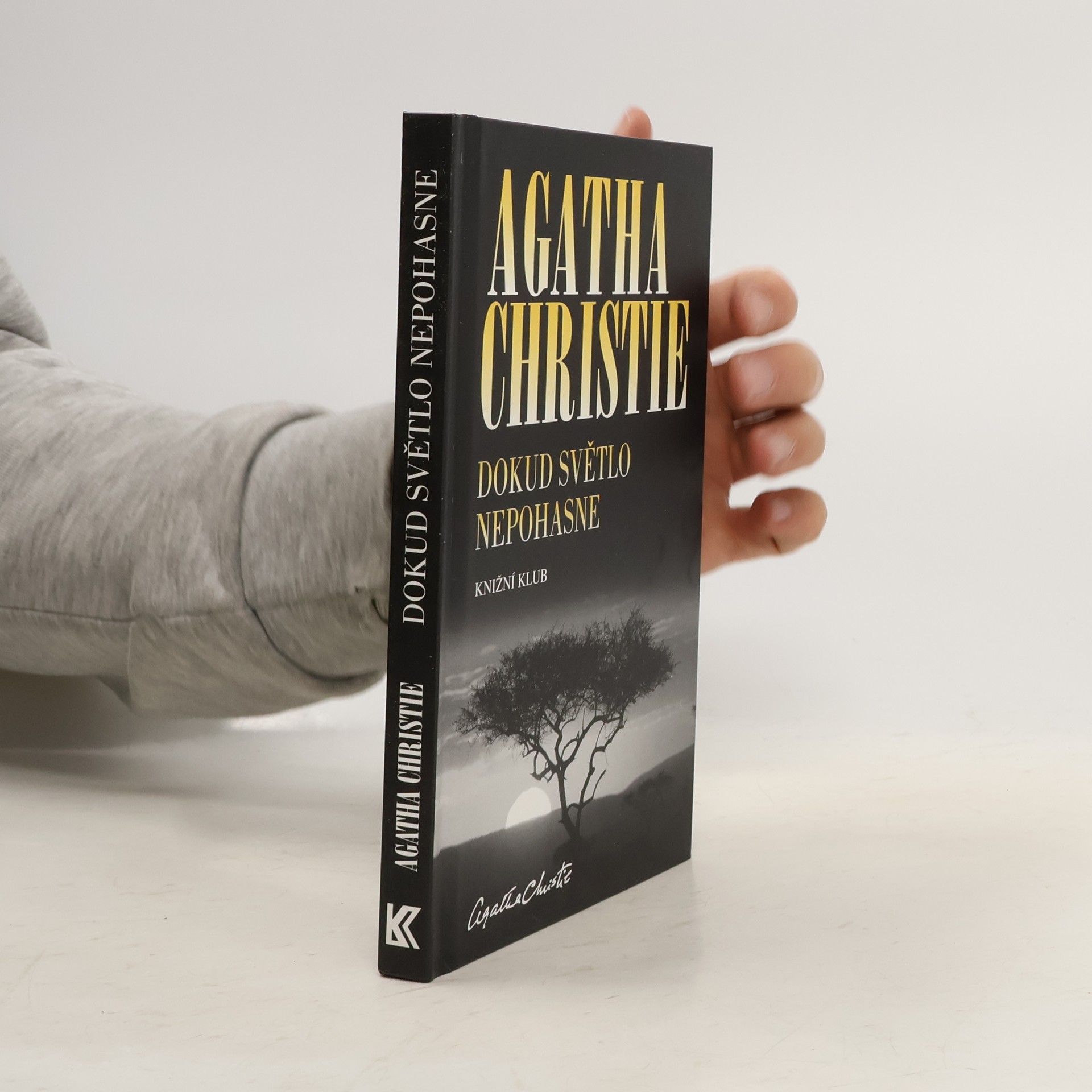 Agatha Christie Dokud světlo nepohasne