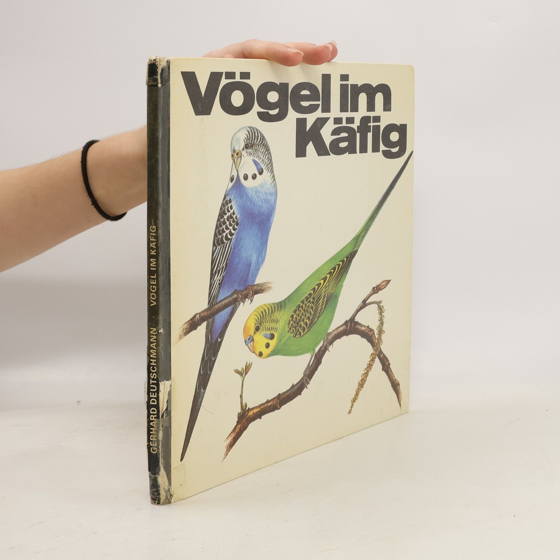 Gerhard Deutschmann Vögel im Käfig