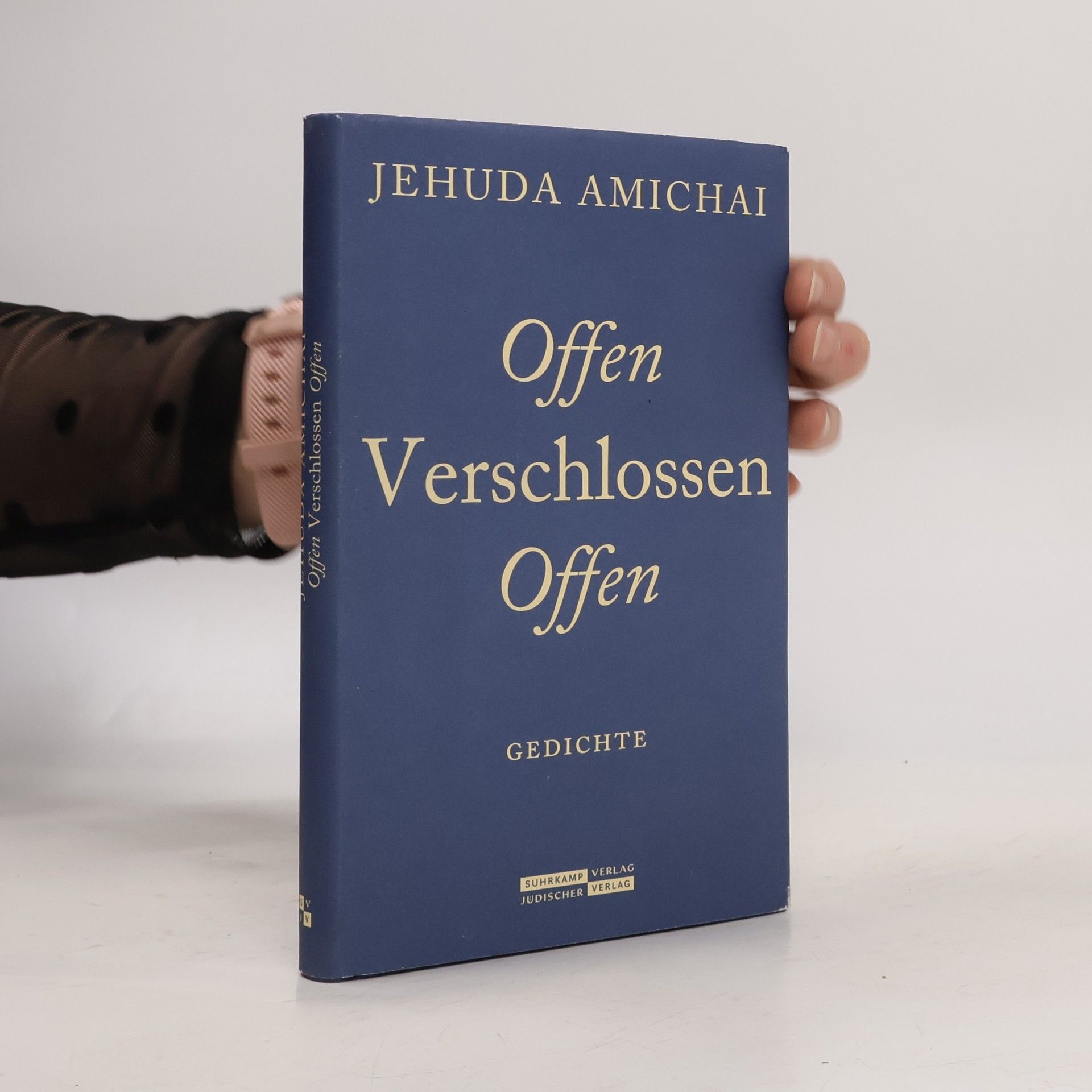 Anne Birkenhauer Offen Verschlossen Offen. Gedichte