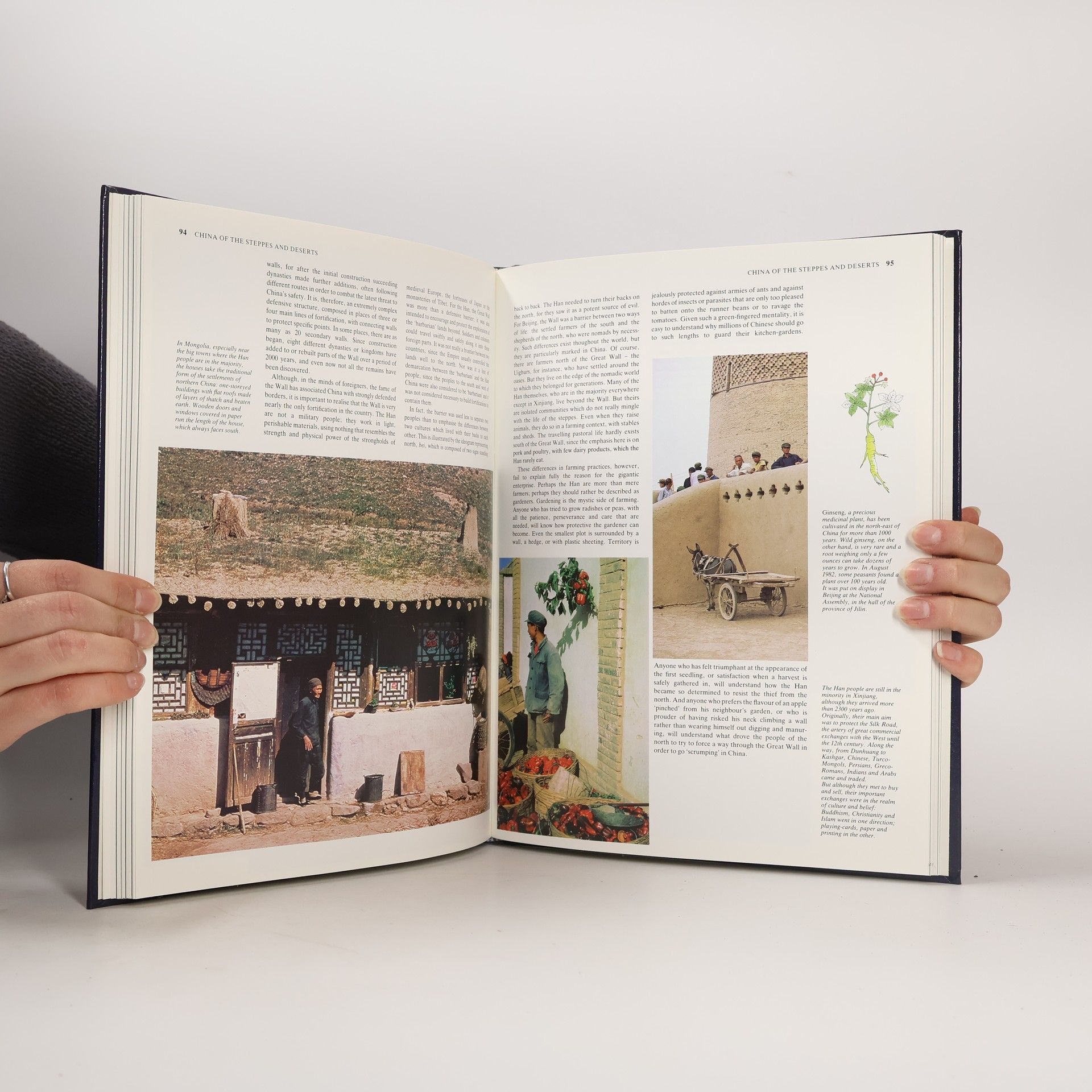 Various authors In Search of The Orient