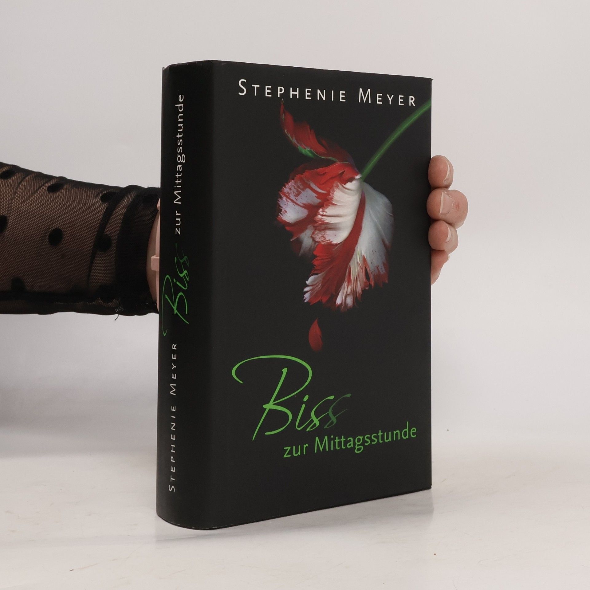 Stephenie Meyer Biss zur Mittagsstunde