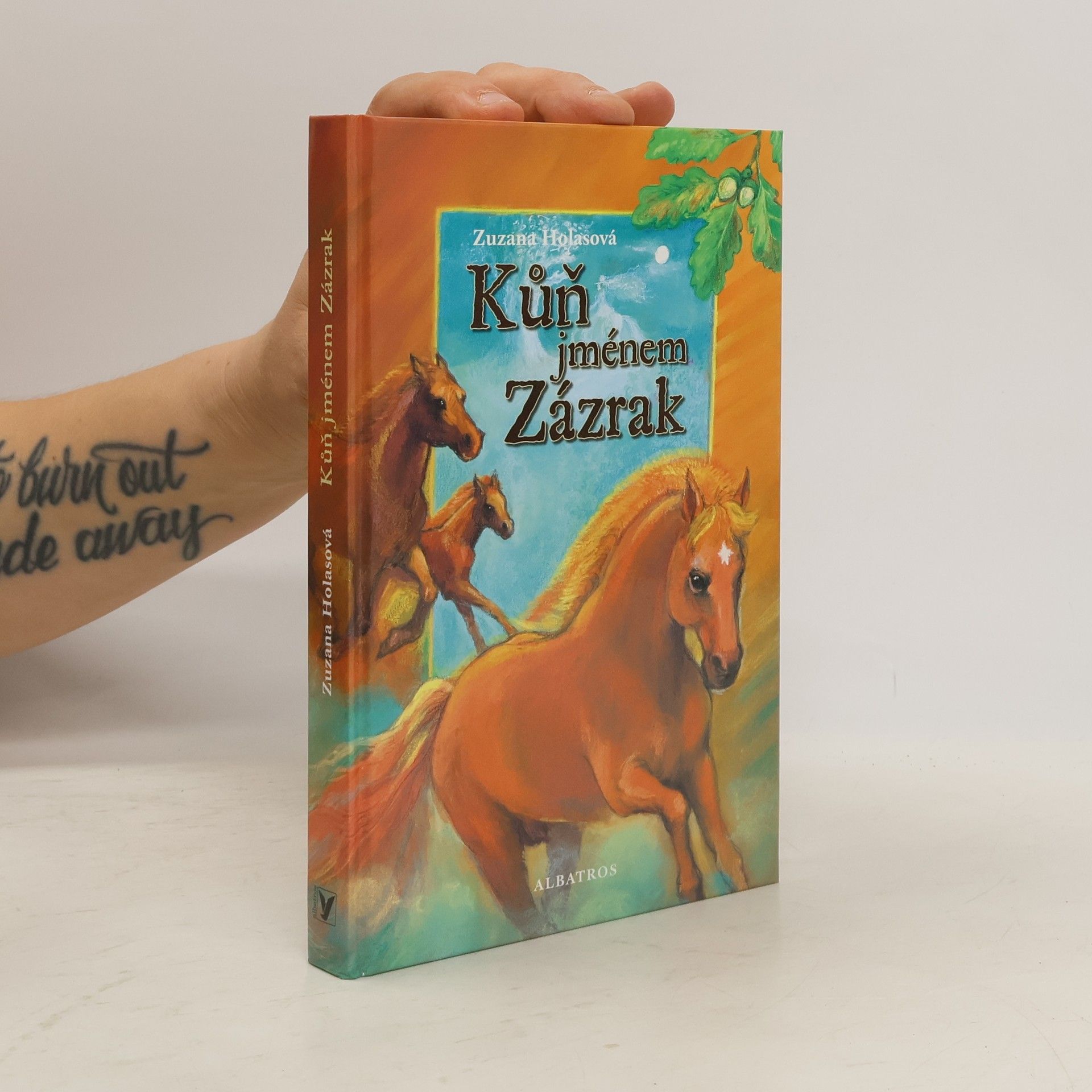 Zuzana Holasová Kůň jménem Zázrak