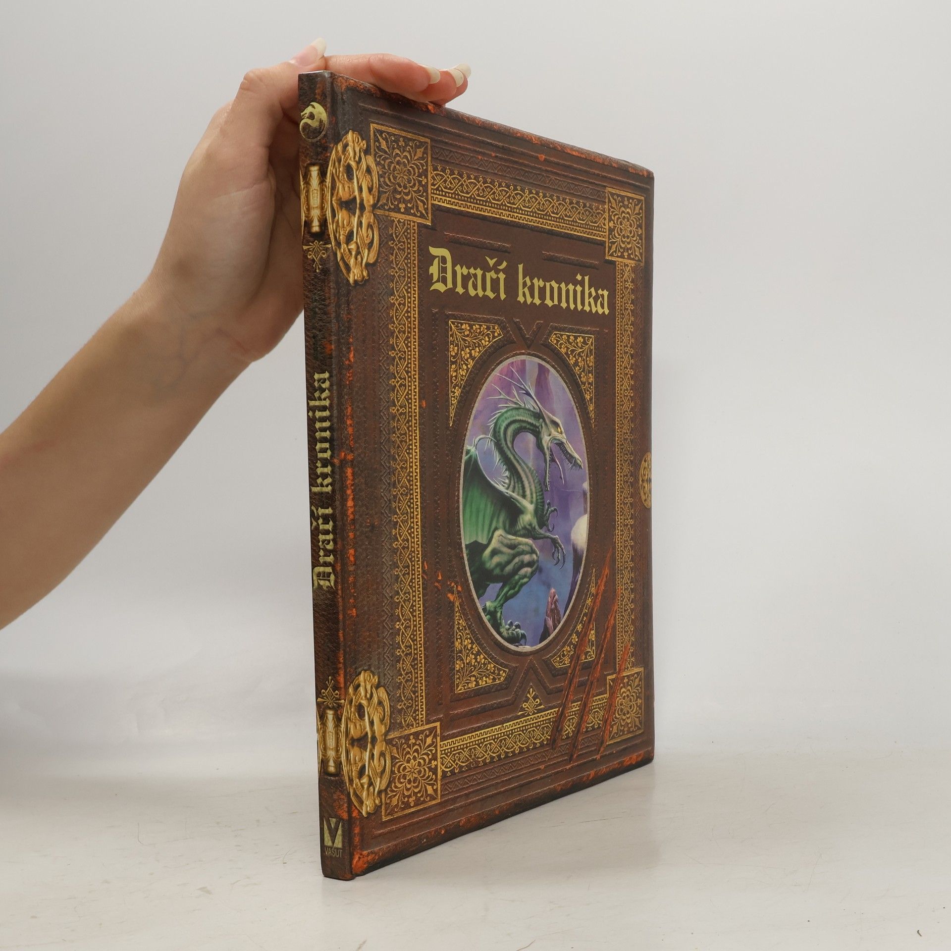 Michal Drápalík Dračí kronika: Ztracený deník Nejvyššího čaroděje, Septima Agoria