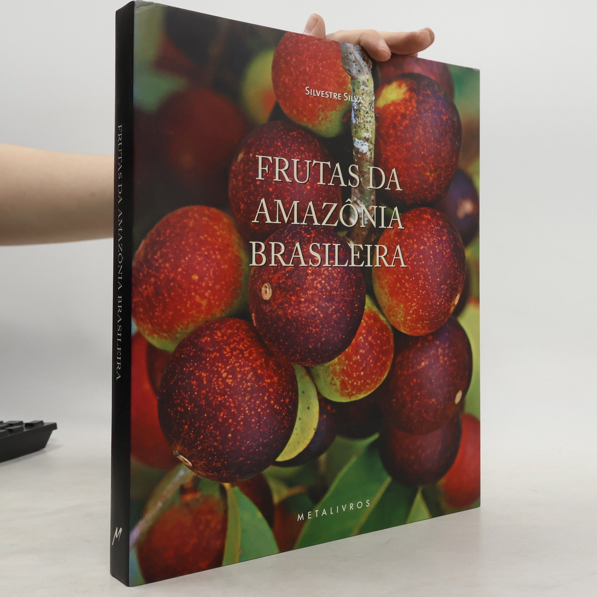 Nuno Silvestre Silva Frutas da Amazônia brasileira