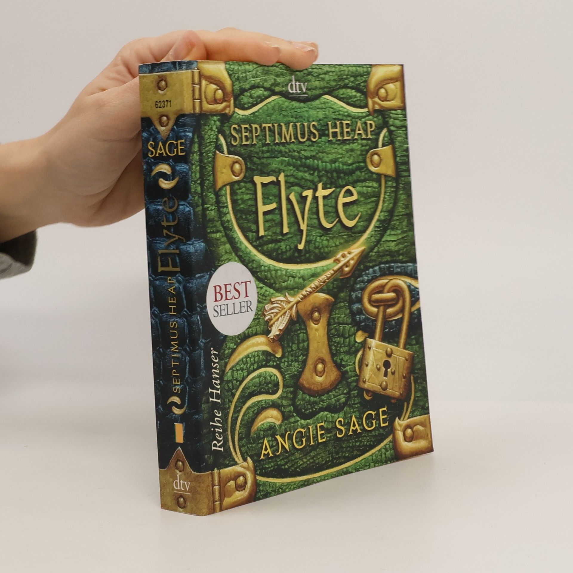 Angie Sage Septimus Heap: Flyte