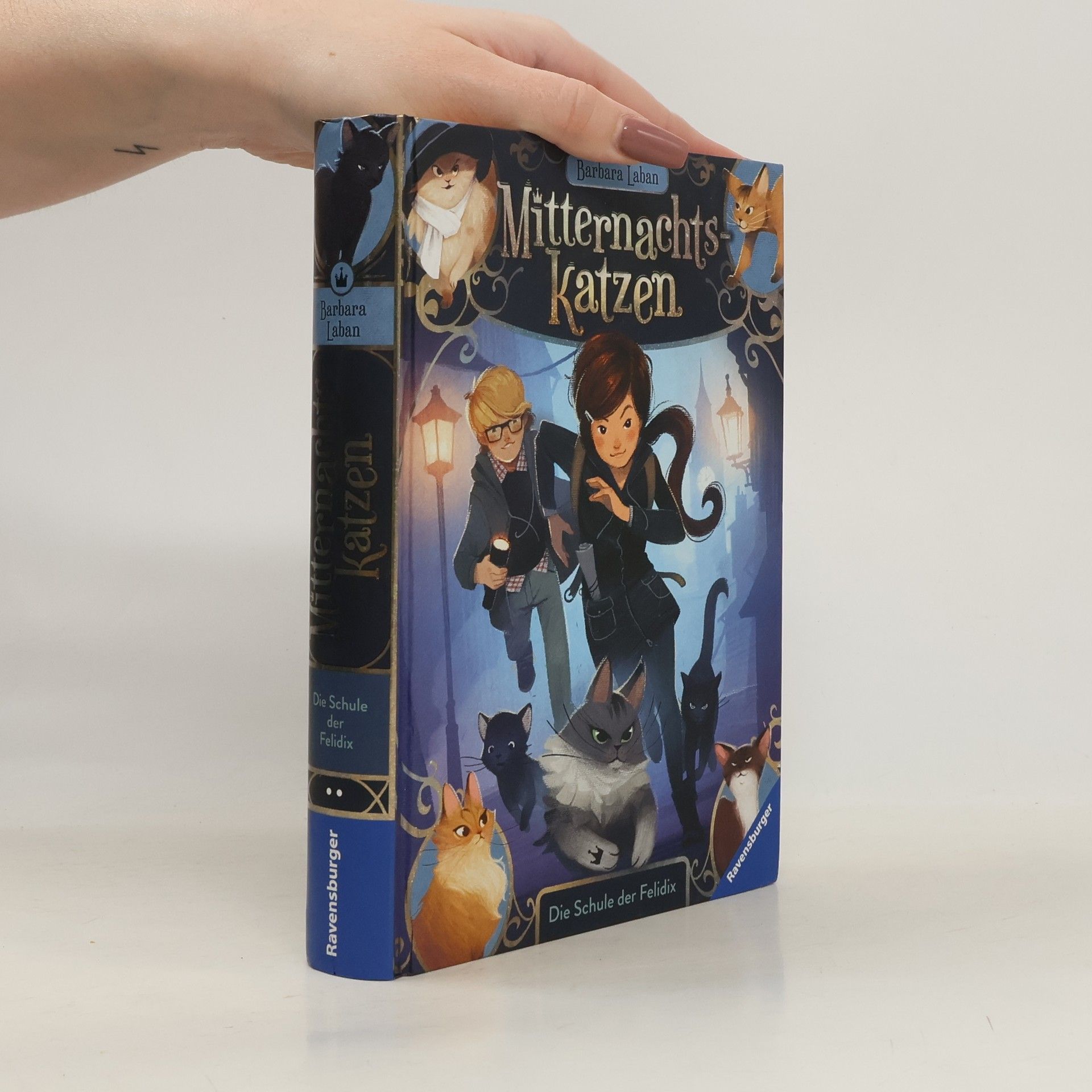 Barbara Laban Die Schule der Felidix