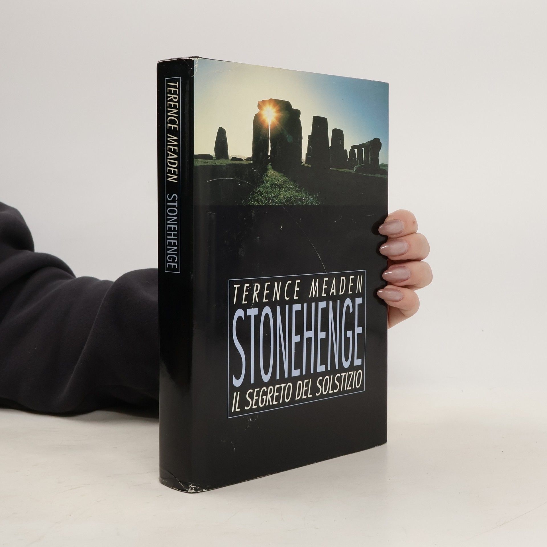 Terence Meaden Stonehenge. Il segreto del Solstizio