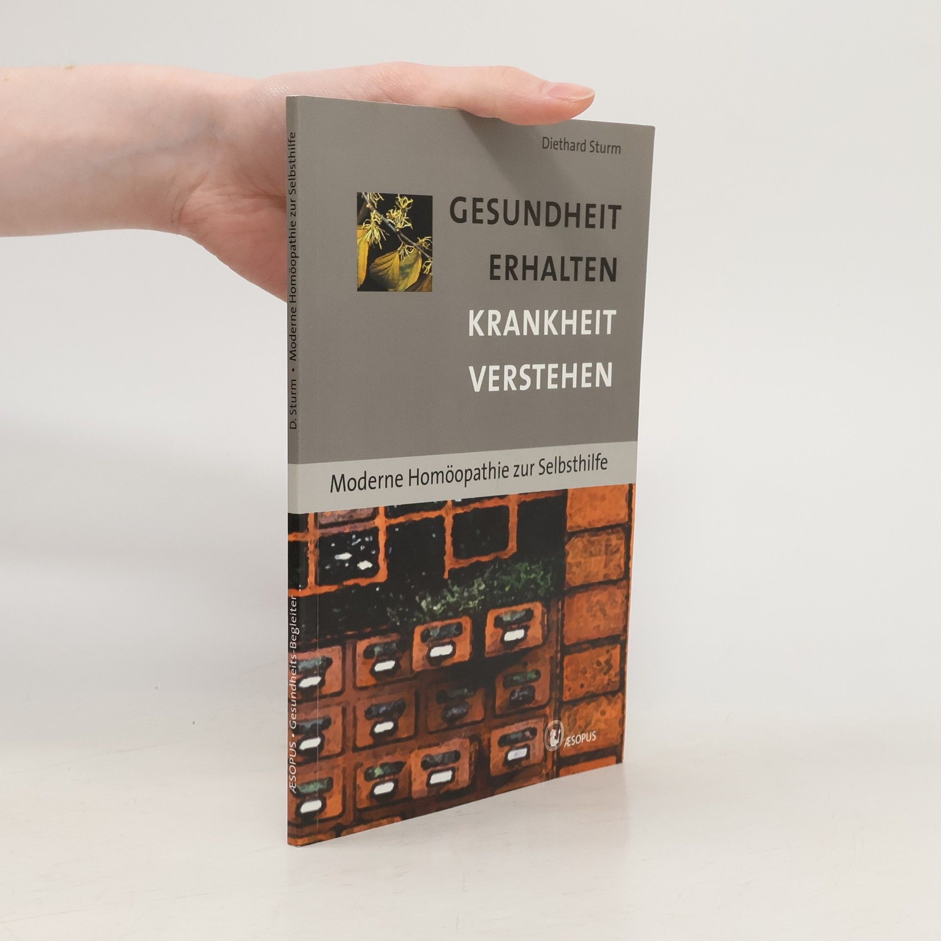 Diethard Sturm Gesundheits-Begleiter: Gesundheit erhalten, Krankheit verstehen
