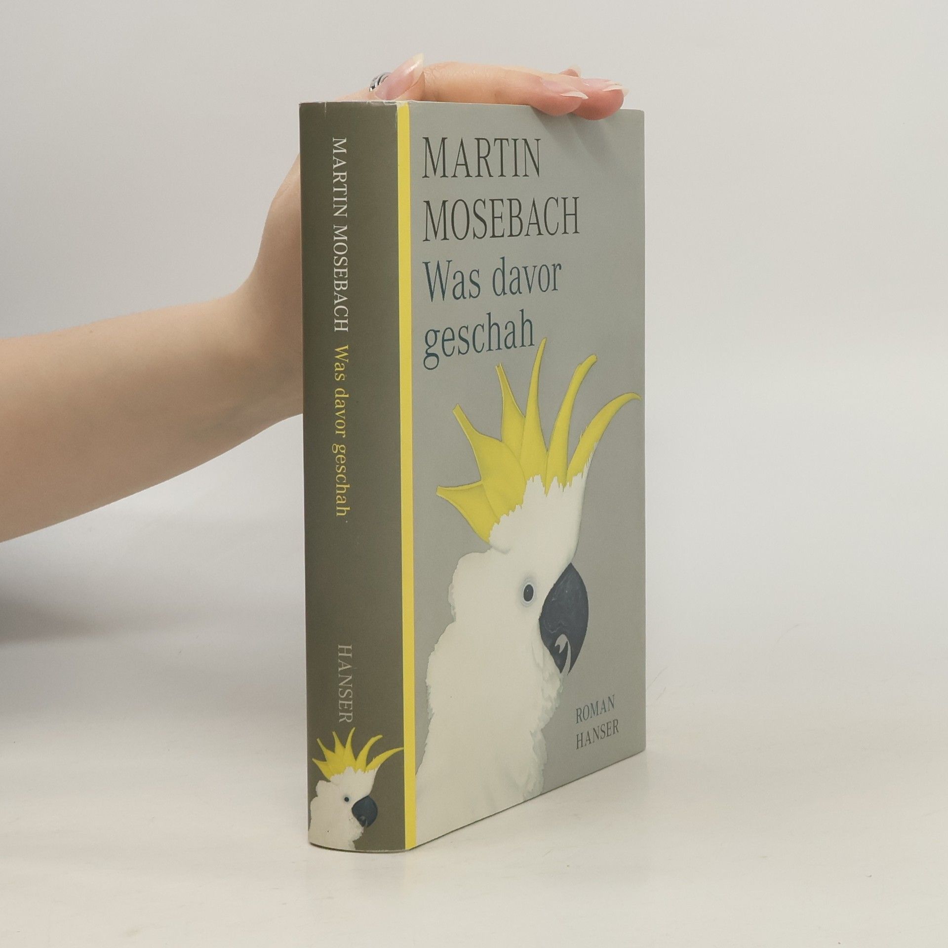 Martin Mosebach Was davor geschah