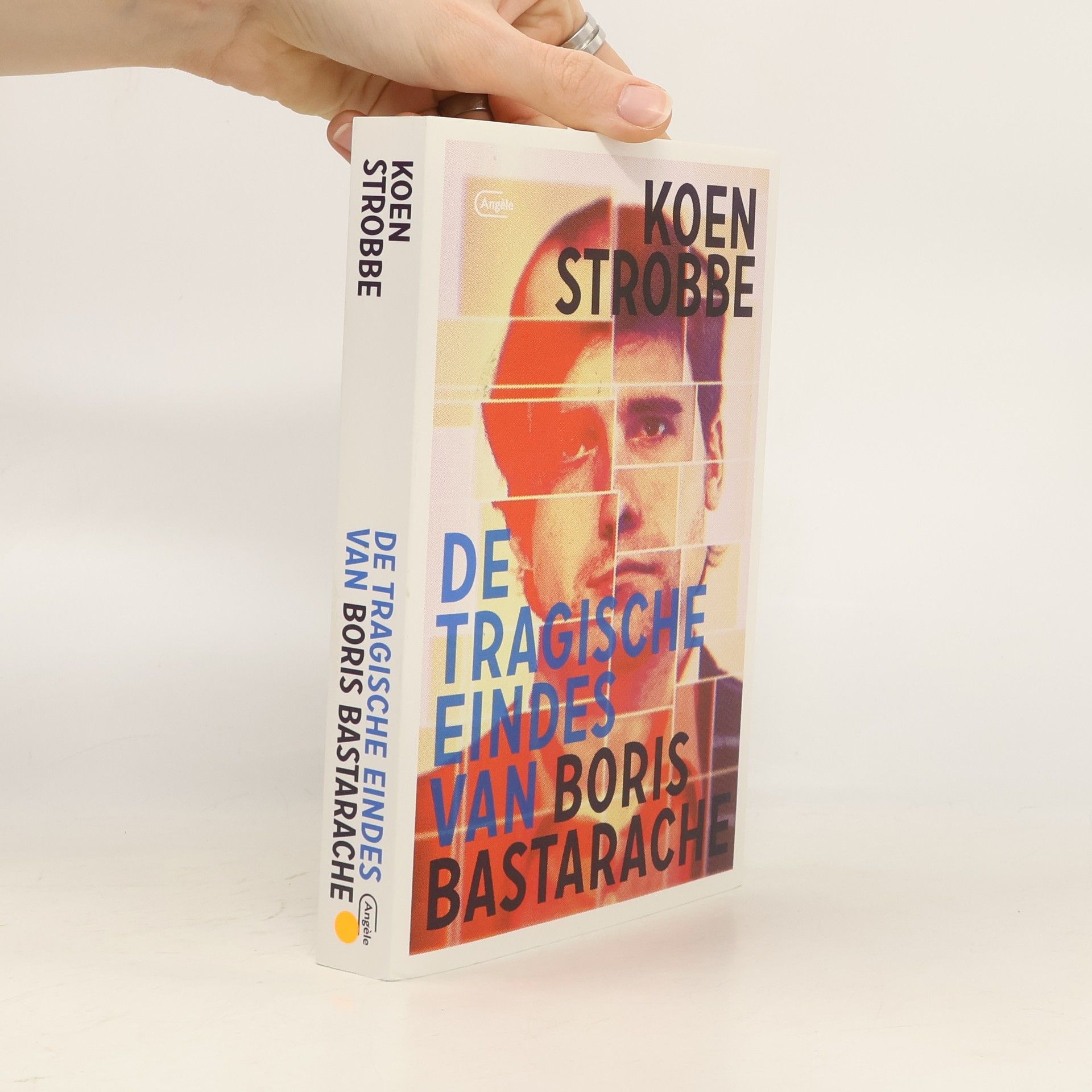 Koen Strobbe De tragische eindes van Boris Bastarache