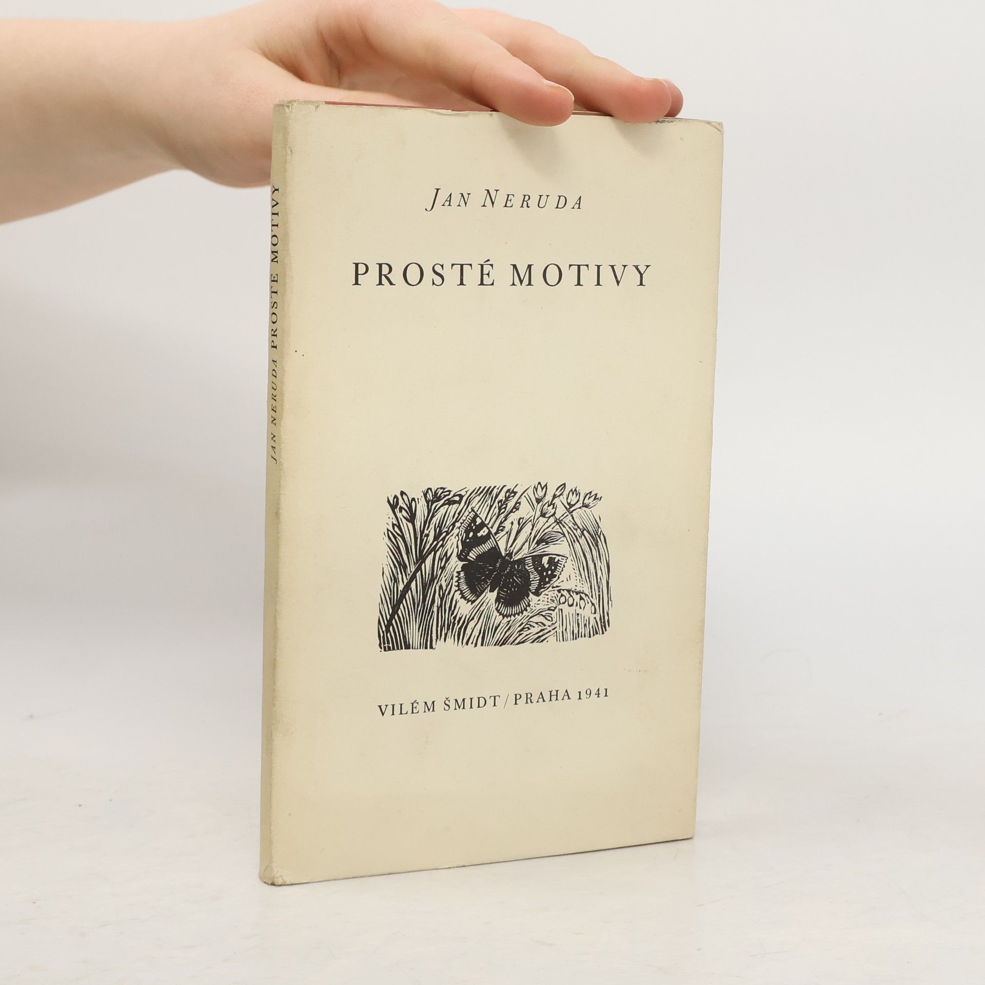 Jan Neruda Prosté motivy
