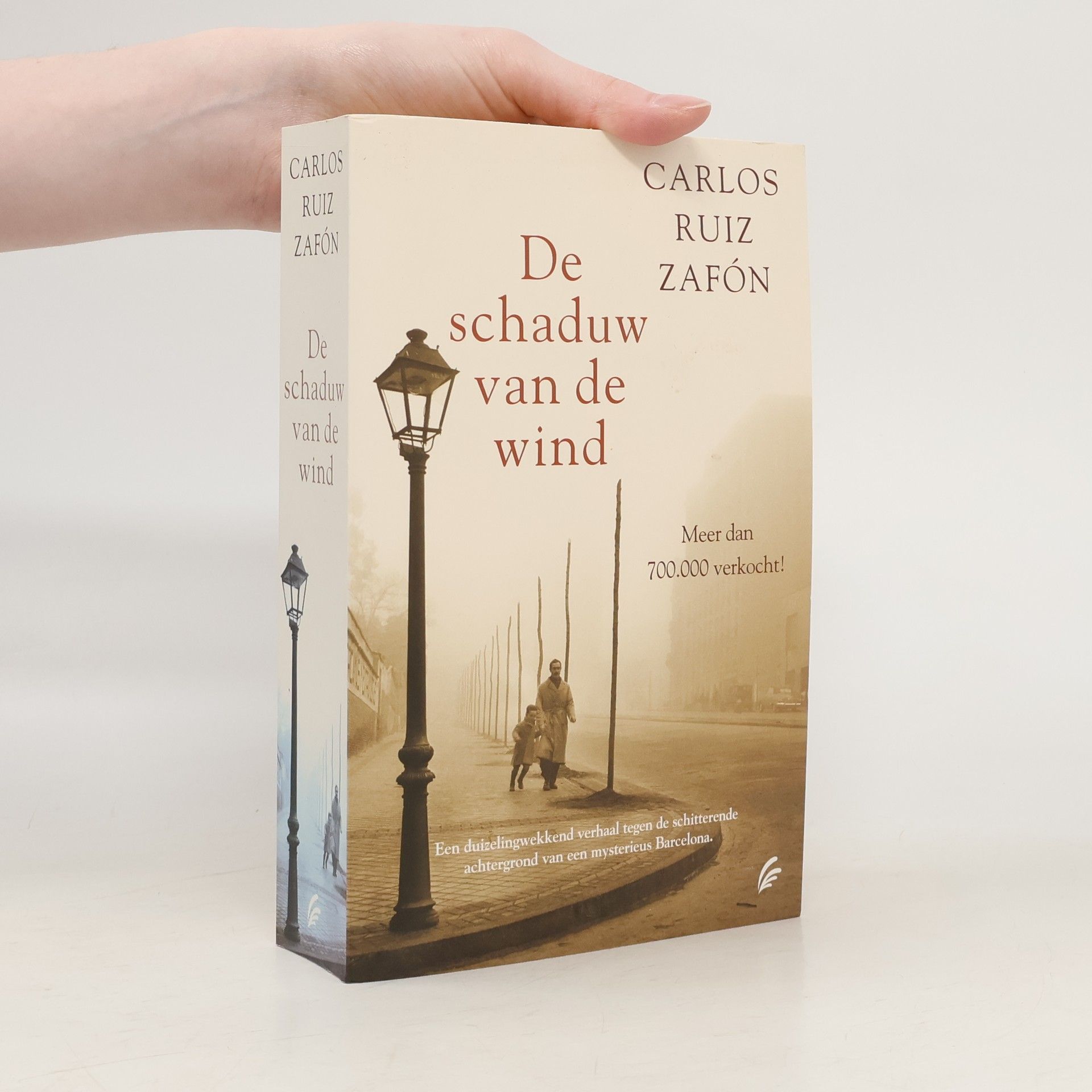 De Schaduw van de Wind