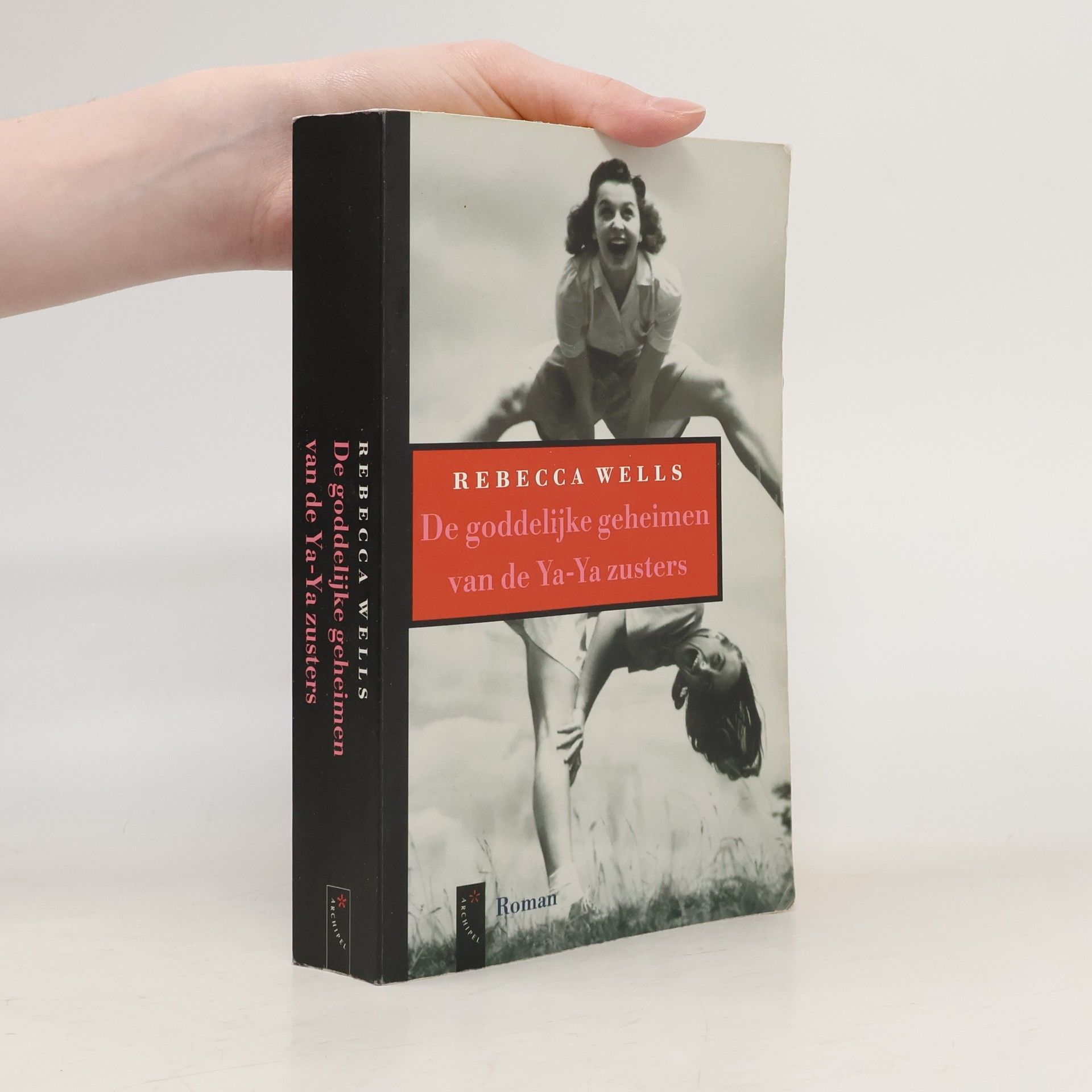 Els van der Pluijm De goddelijke geheimen van de Ya-Ya zusters