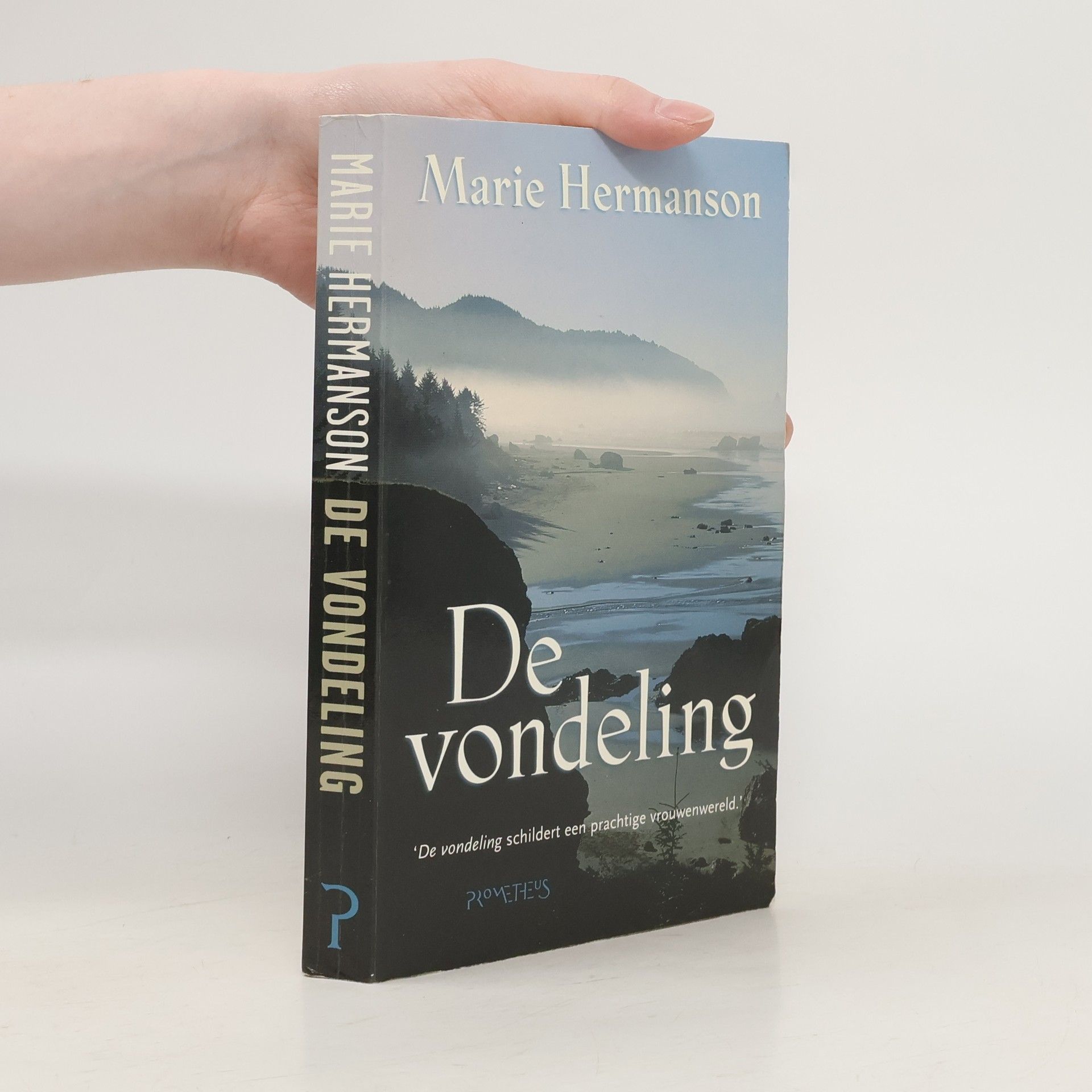 Marie Hermanson De vondeling