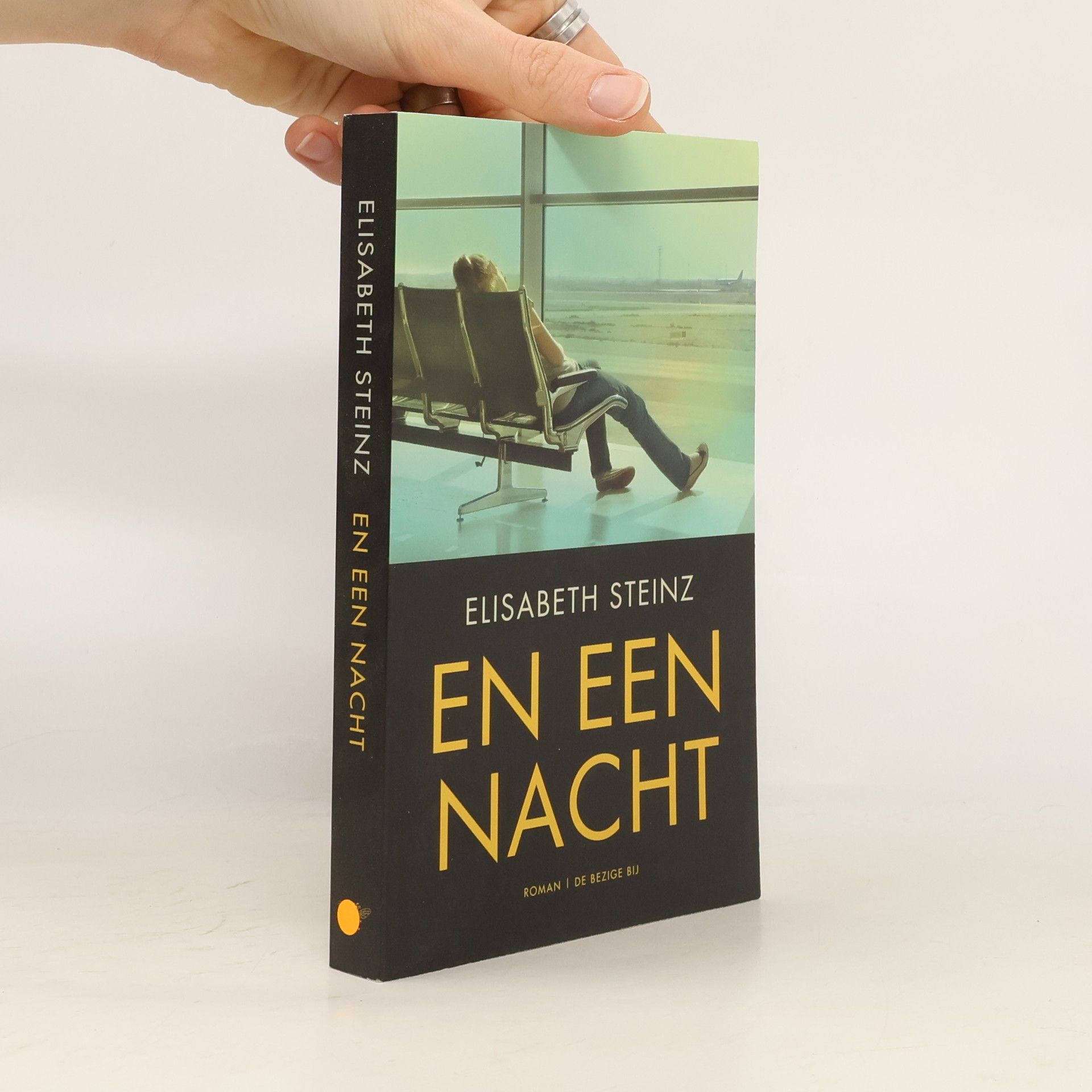 Elisabeth Steinz En een nacht