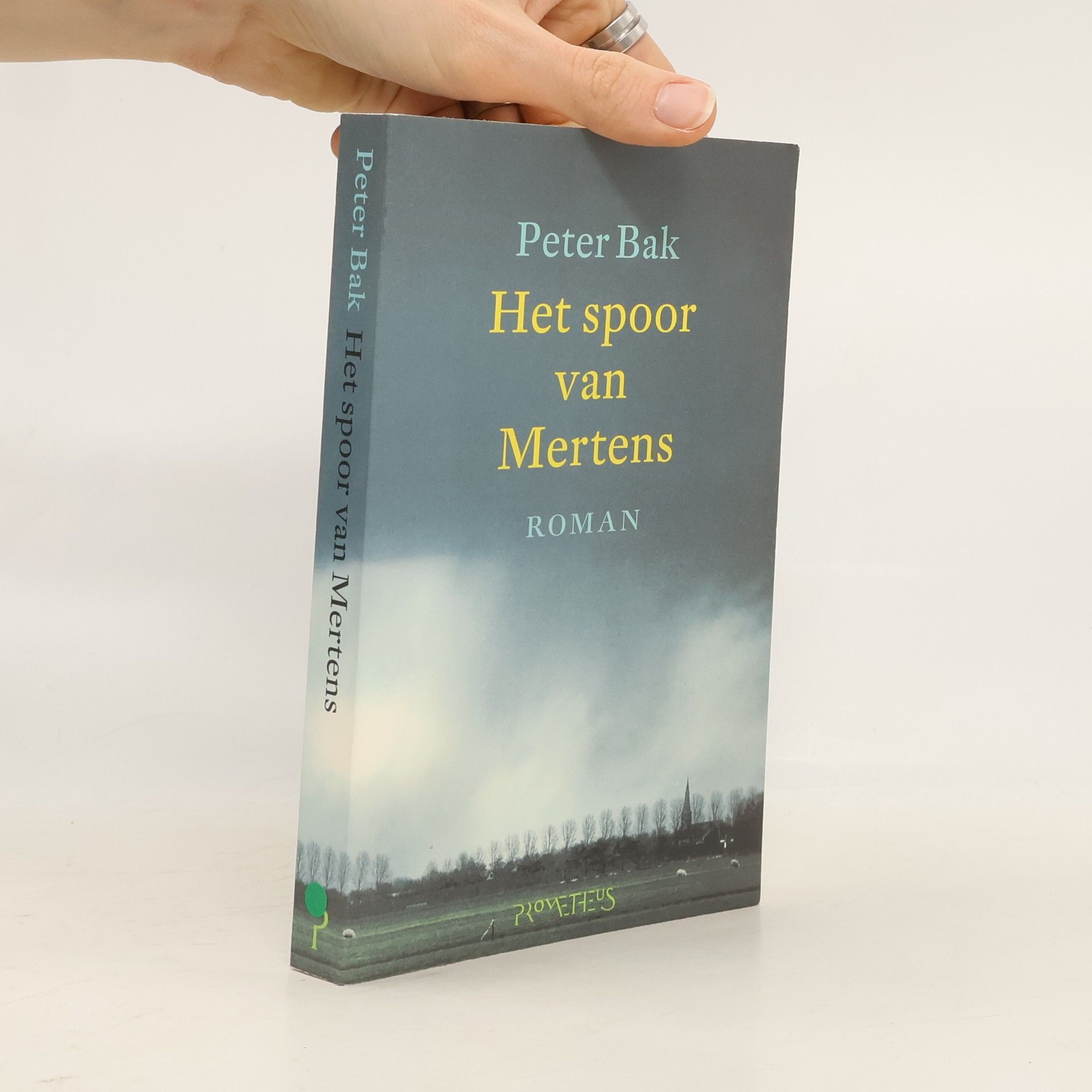 Peter Bak Het spoor van Mertens