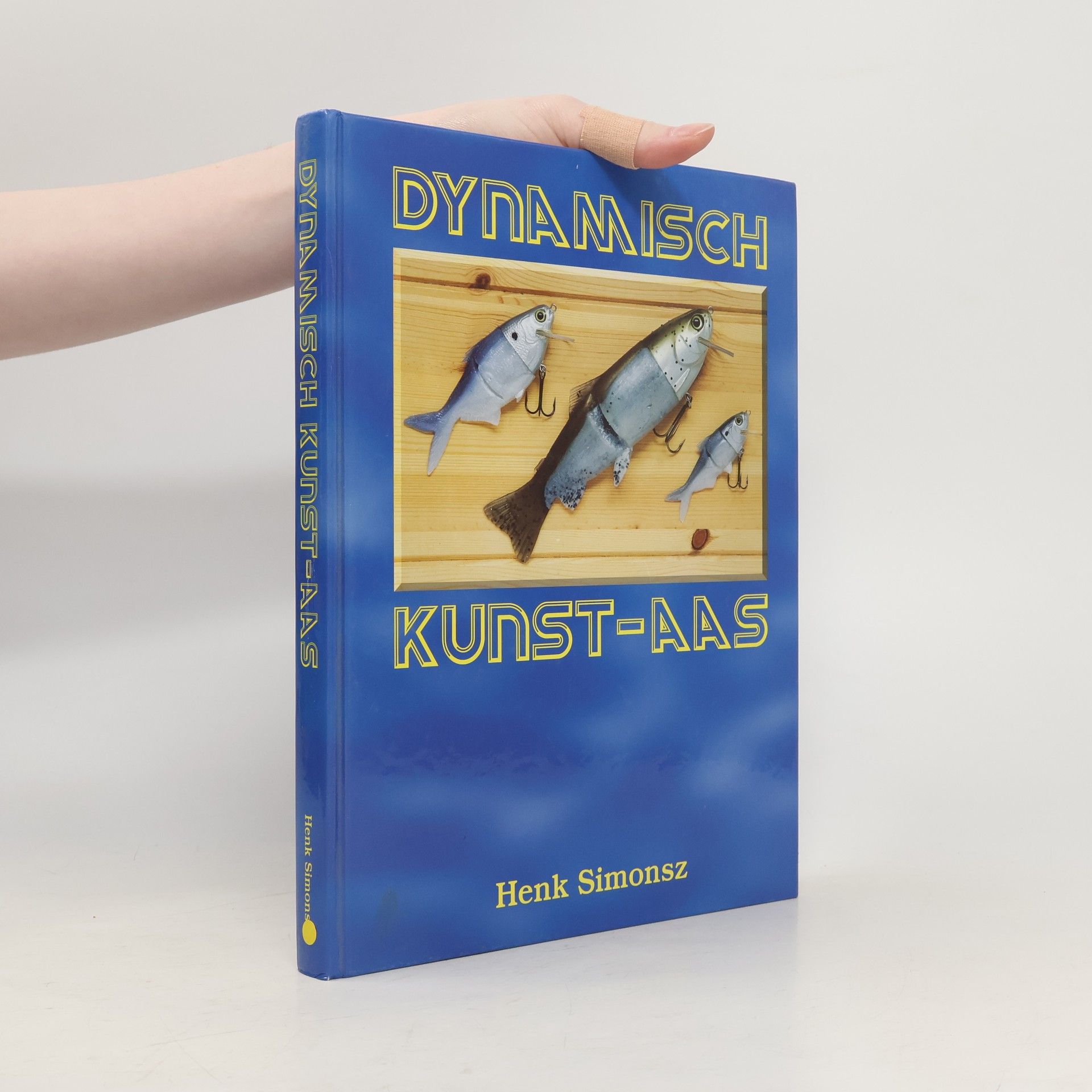 Henk Simonsz Dynamisch kunstaas