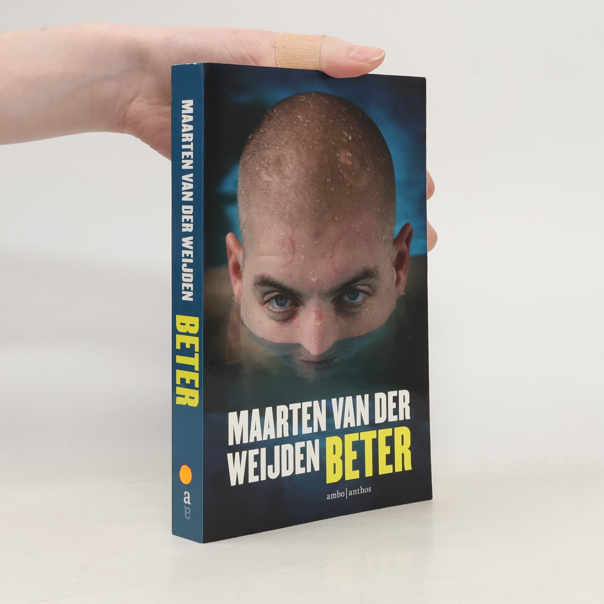 Maarten van der Weijden Beter