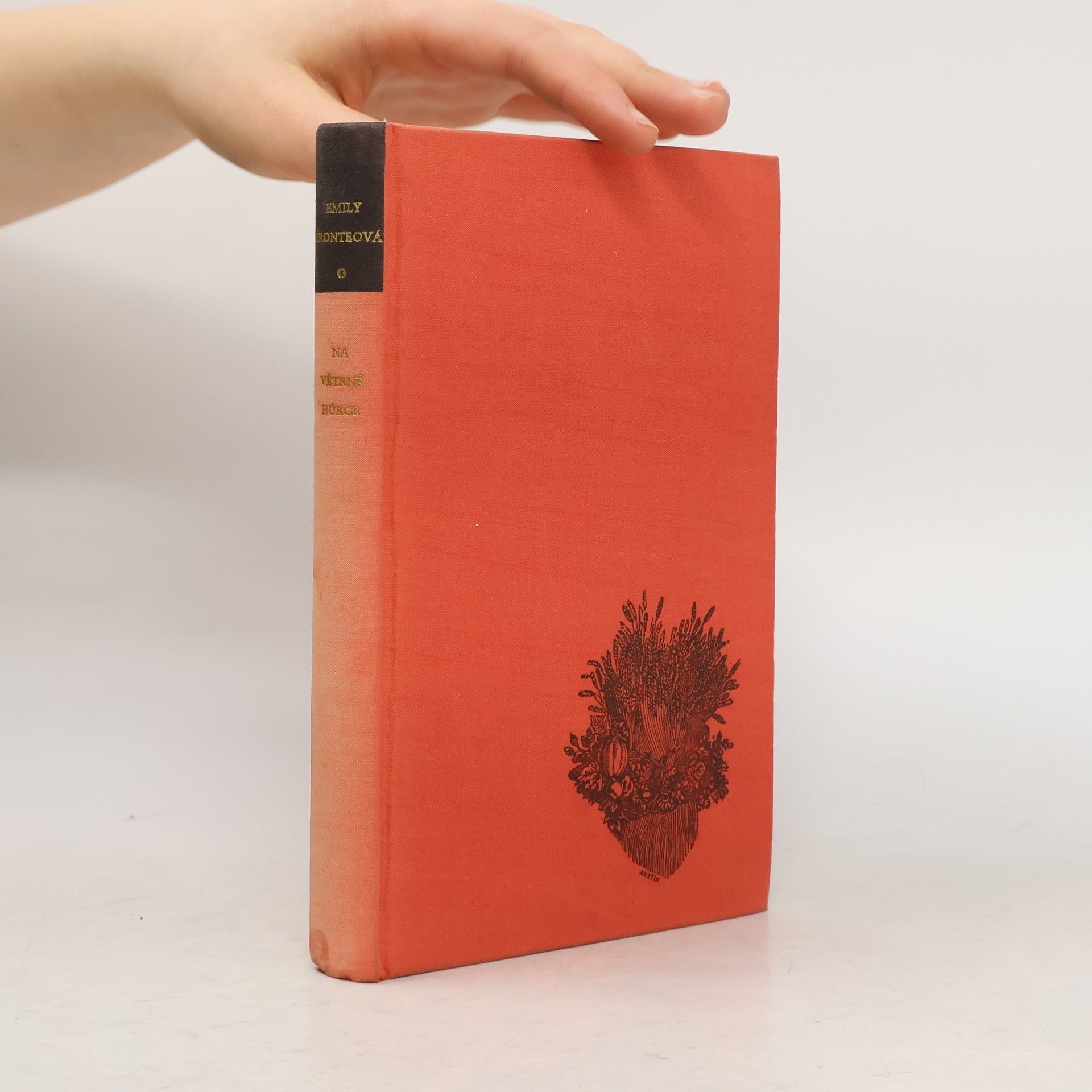 Emily Brontëová Na Větrné hůrce