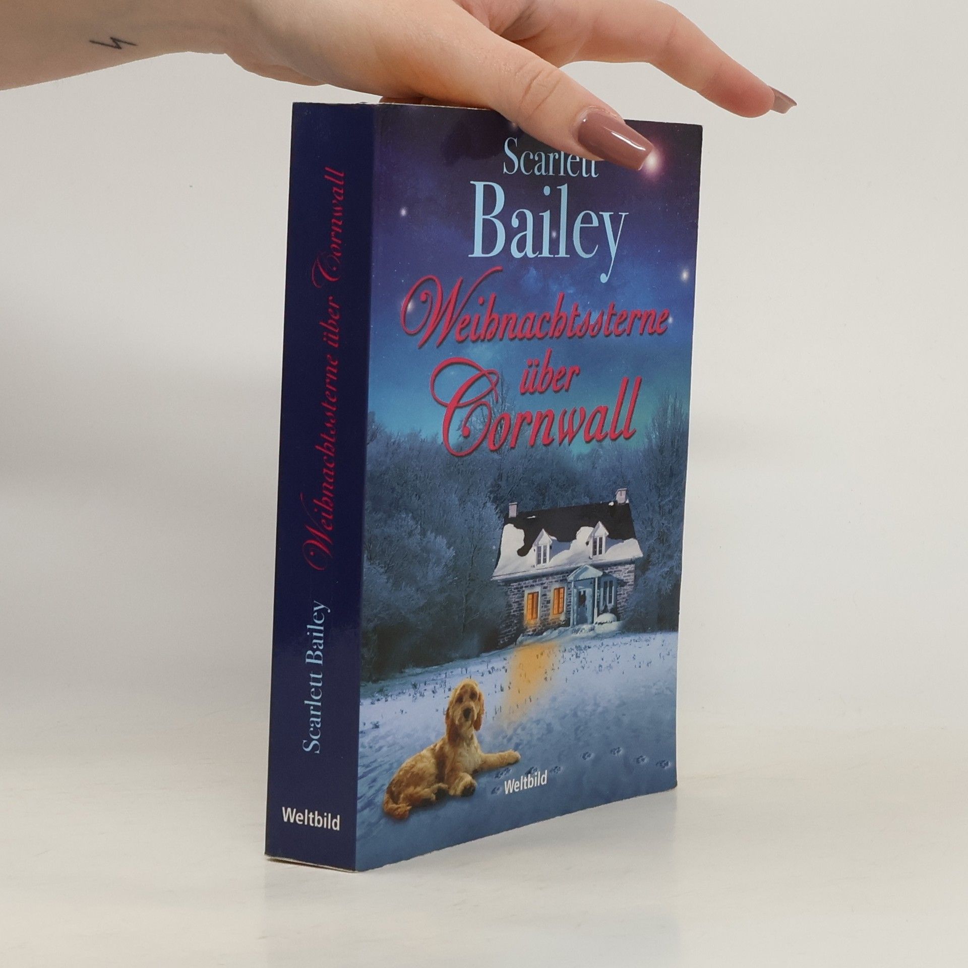 Scarlett Bailey Weihnachtssterne über Cornwall