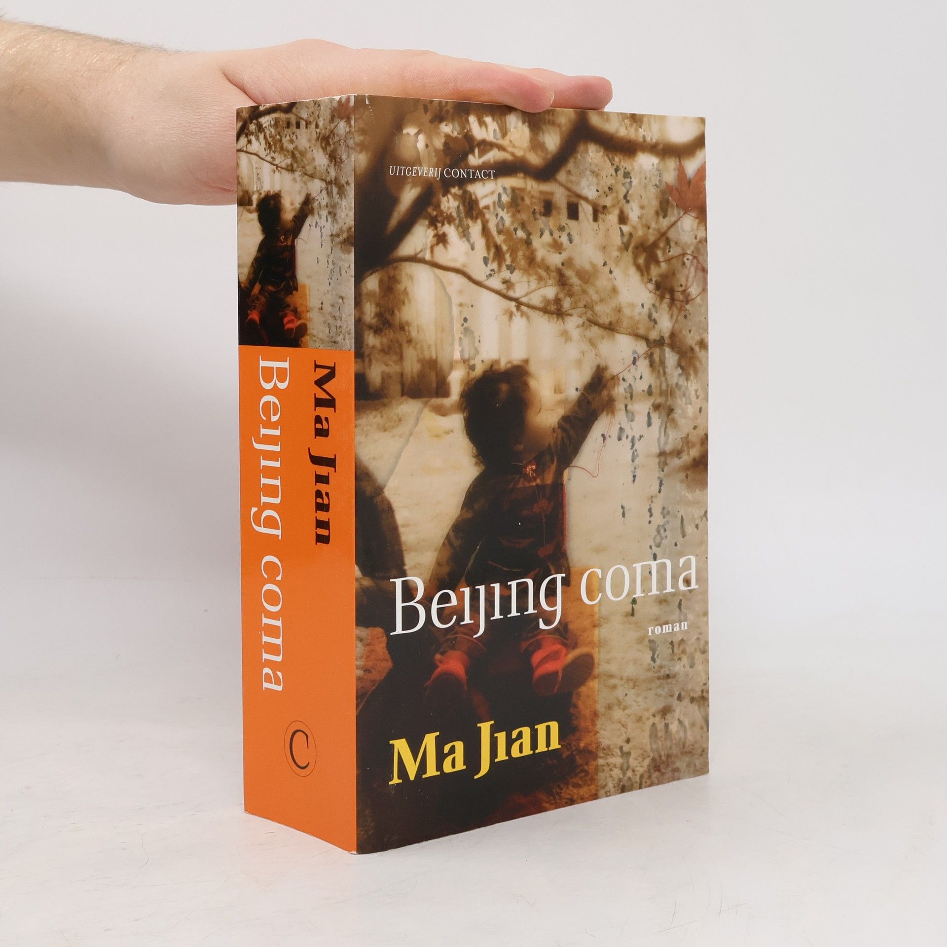 Harry Pallemans Beijing coma