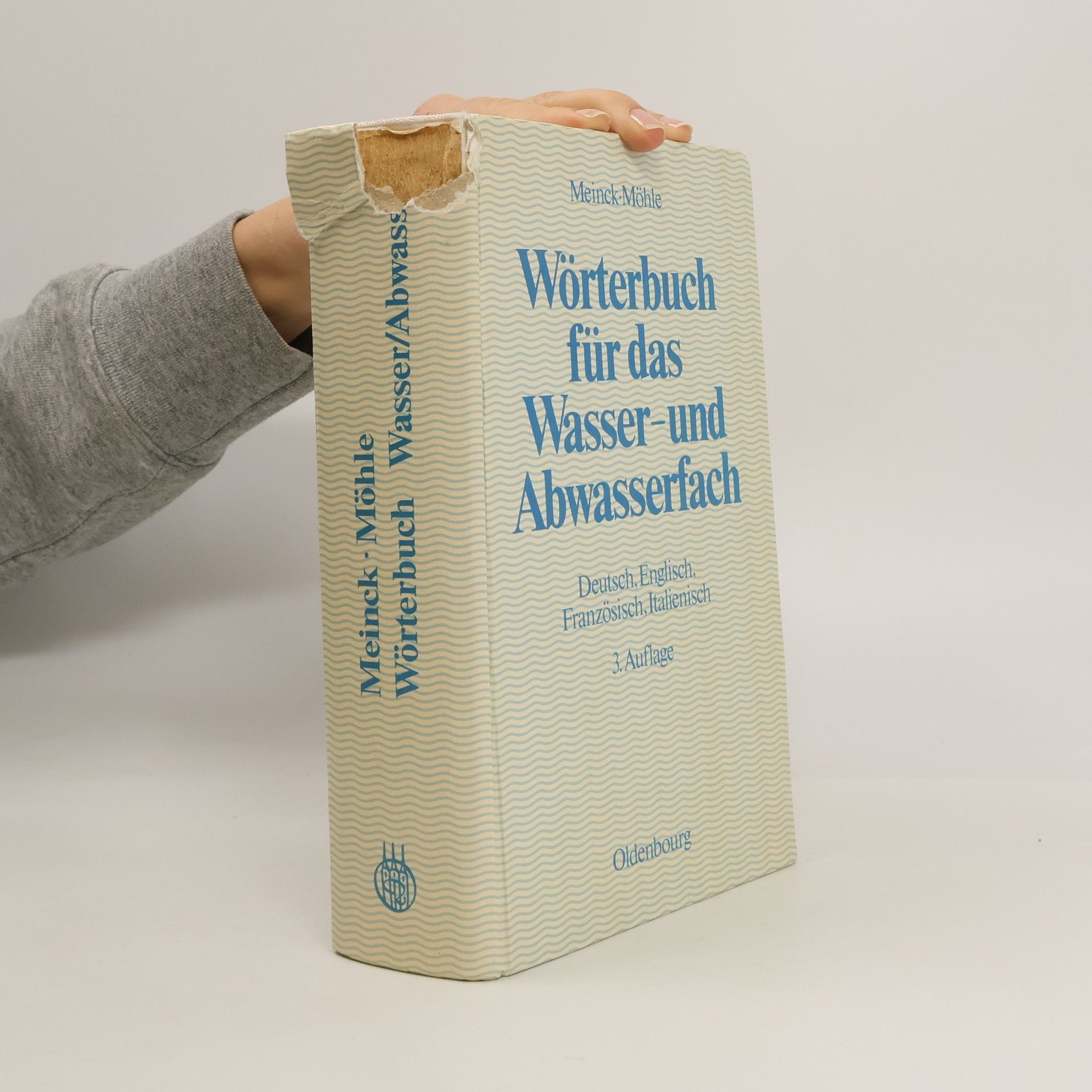 Fritz Meinck Wörterbuch für das Wasser- und Abwasserfach