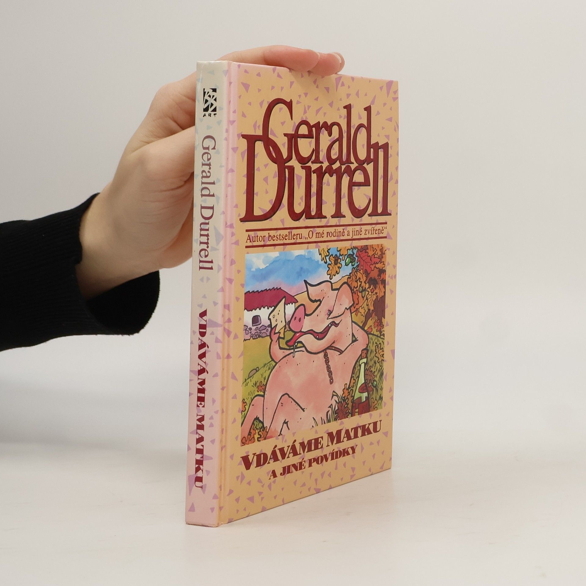 Vdáváme matku a jiné povídky