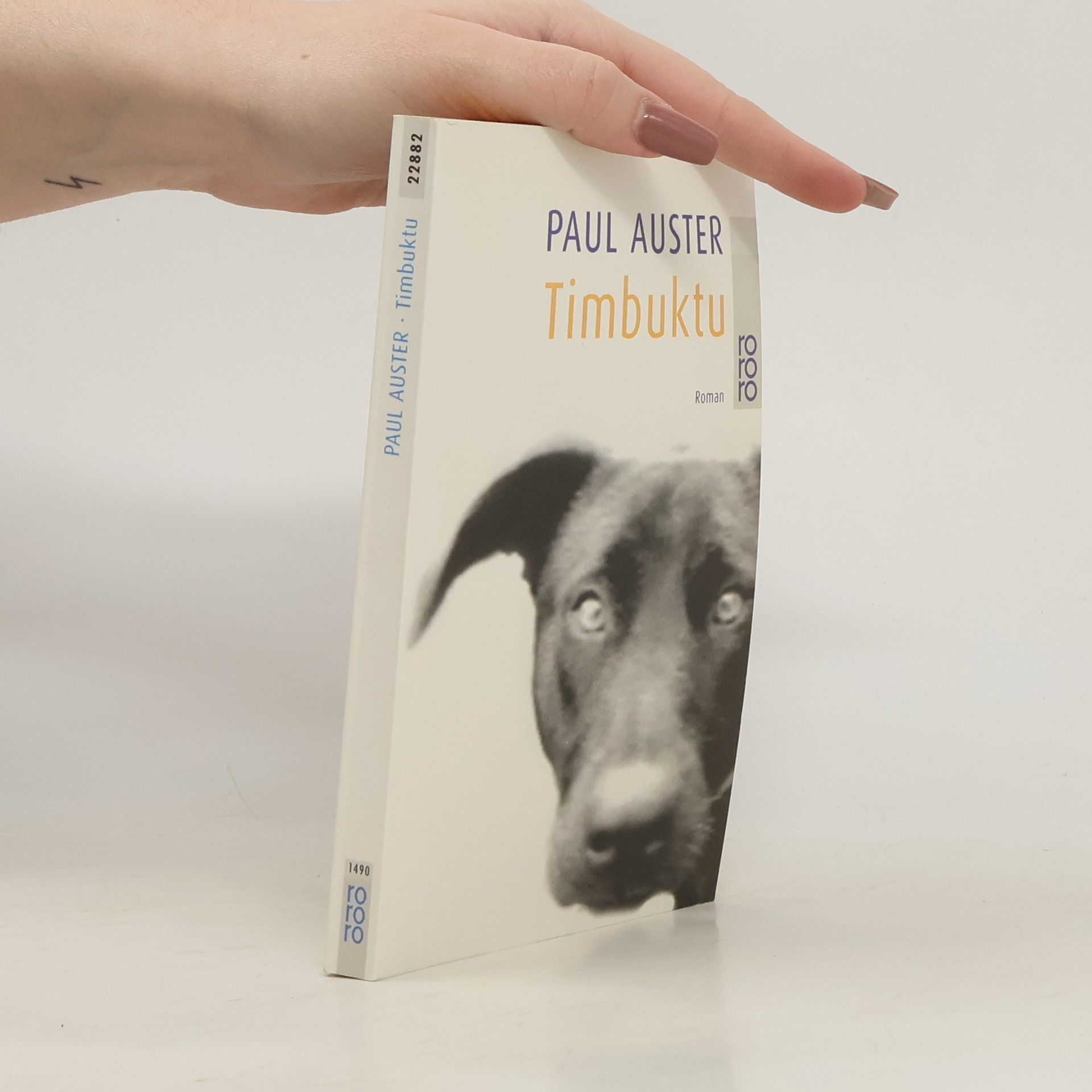 Paul Auster Timbuktu