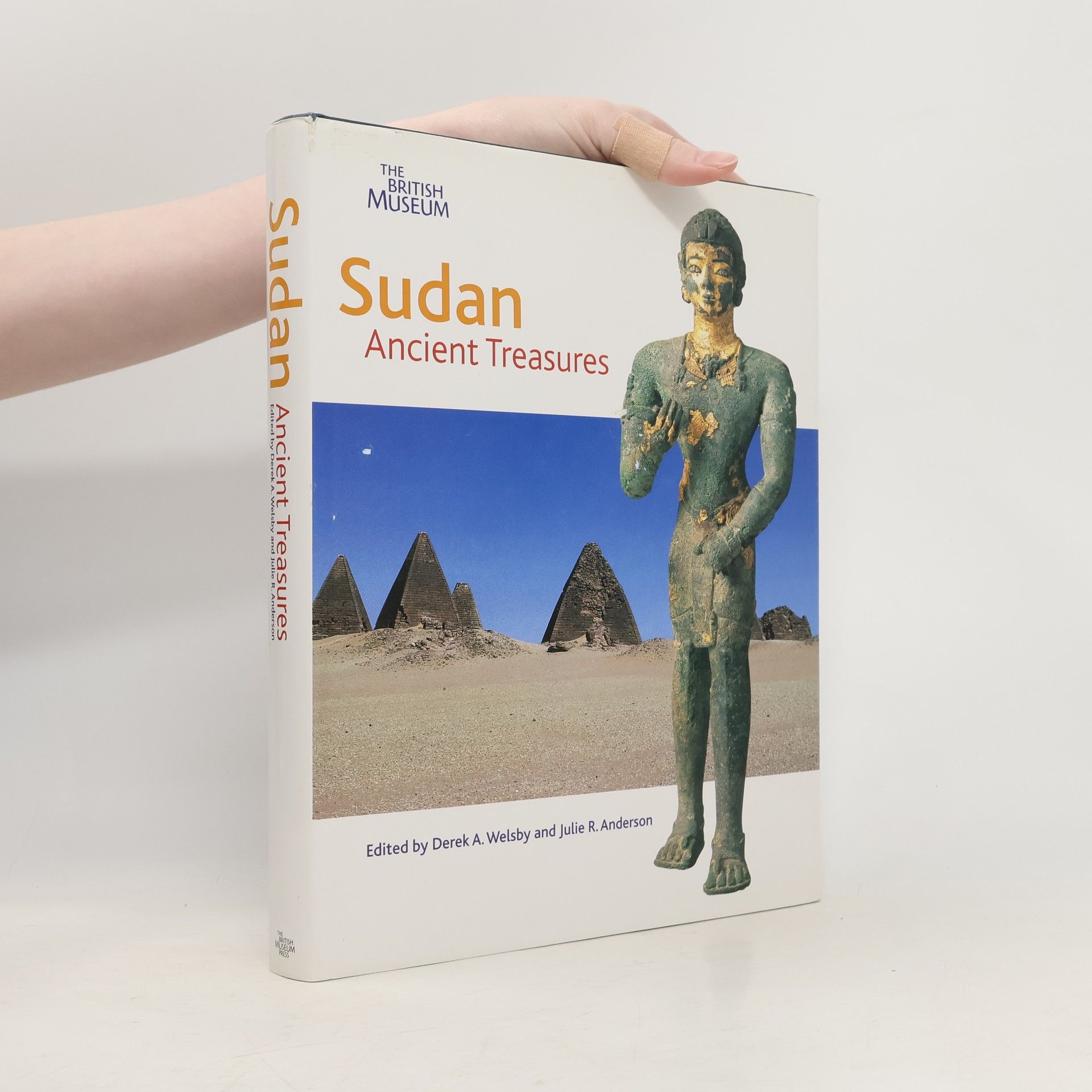 Julie R. Anderson Sudan