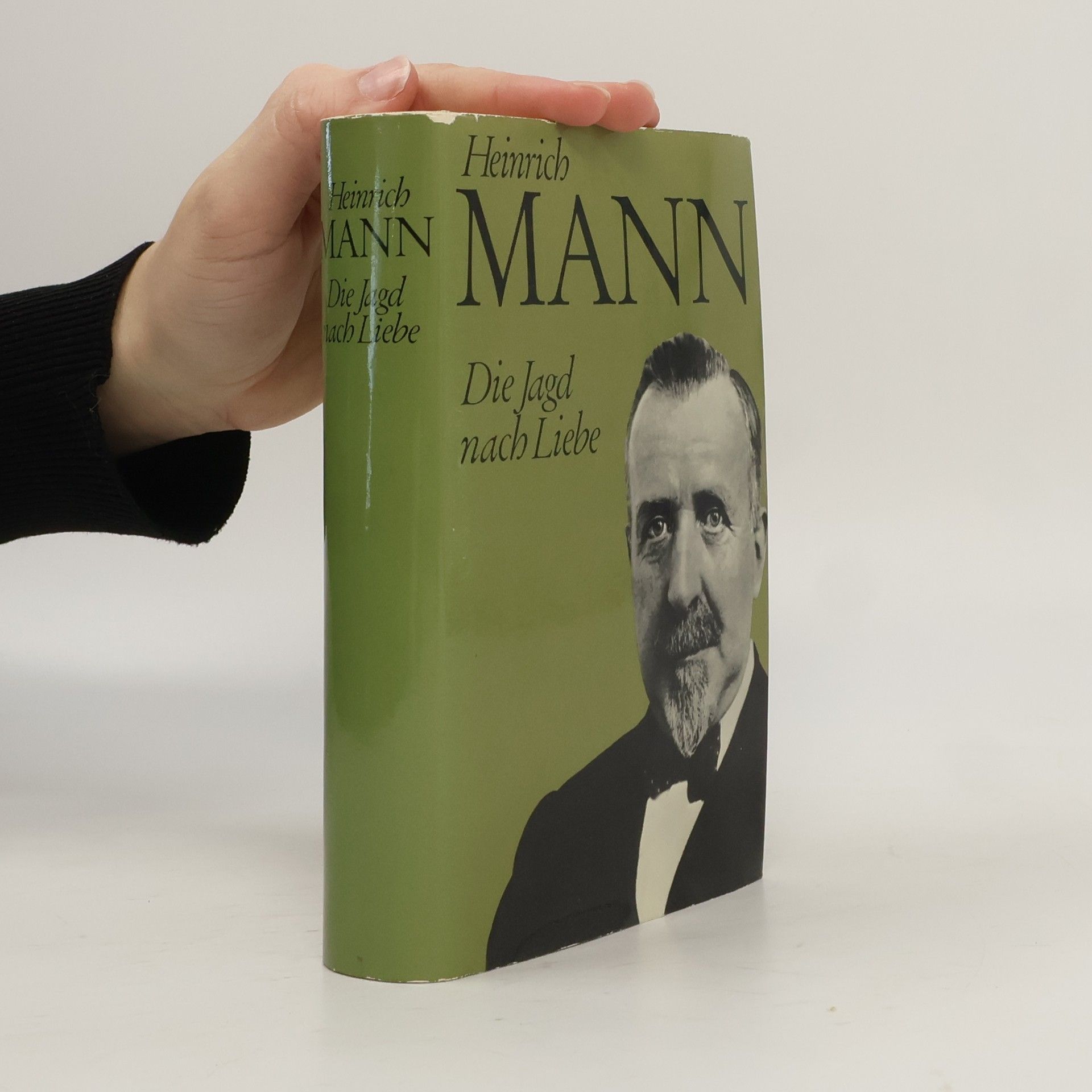 Heinrich Mann Die Jagd nach Liebe