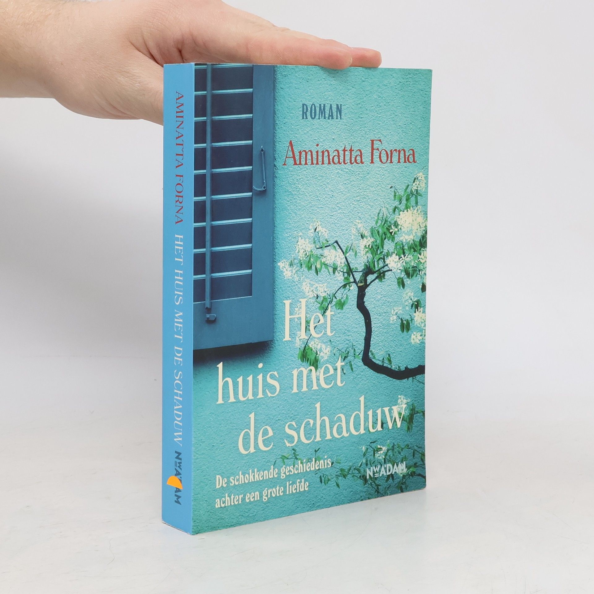 Het huis met de schaduw