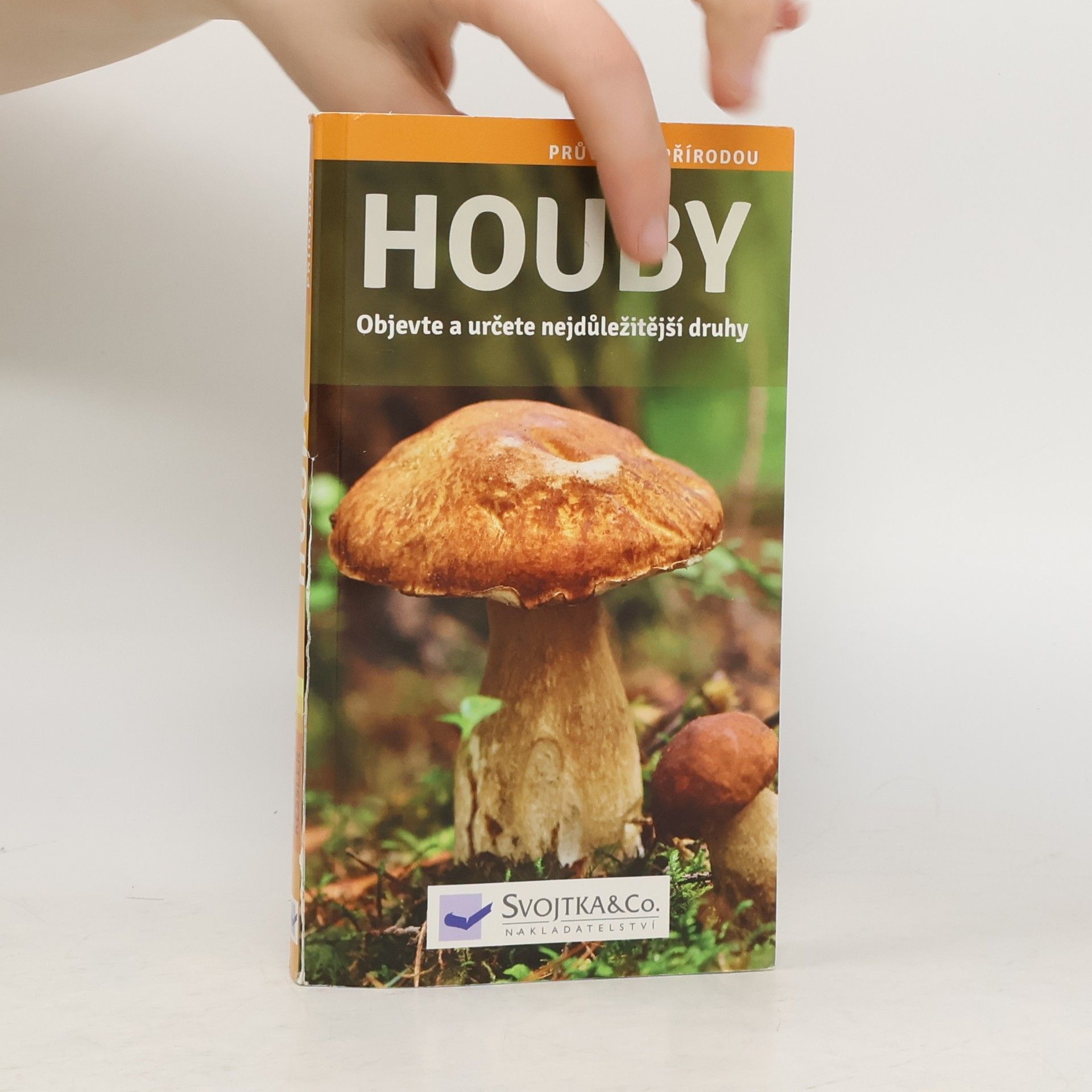 Houby : [objevte a určete nejdůležitější druhy]