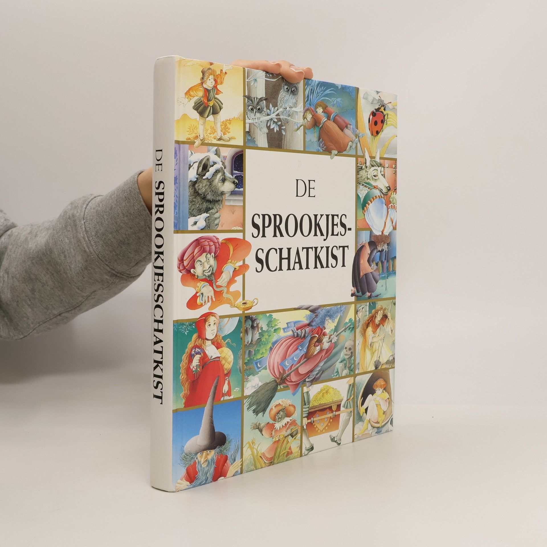 Annie-Claude Martin De sprookjesschatkist