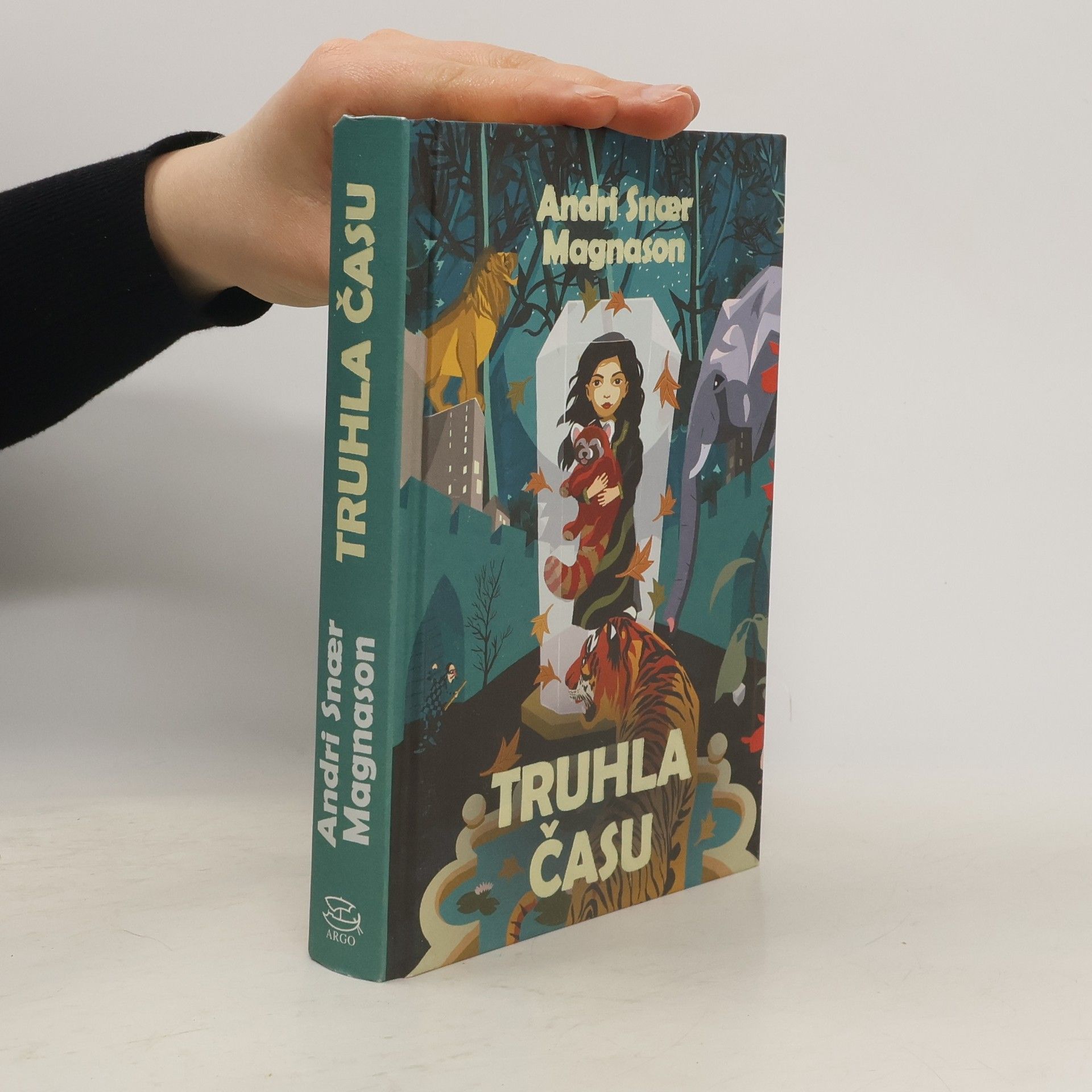 Magnason Andri Snaer Truhla času