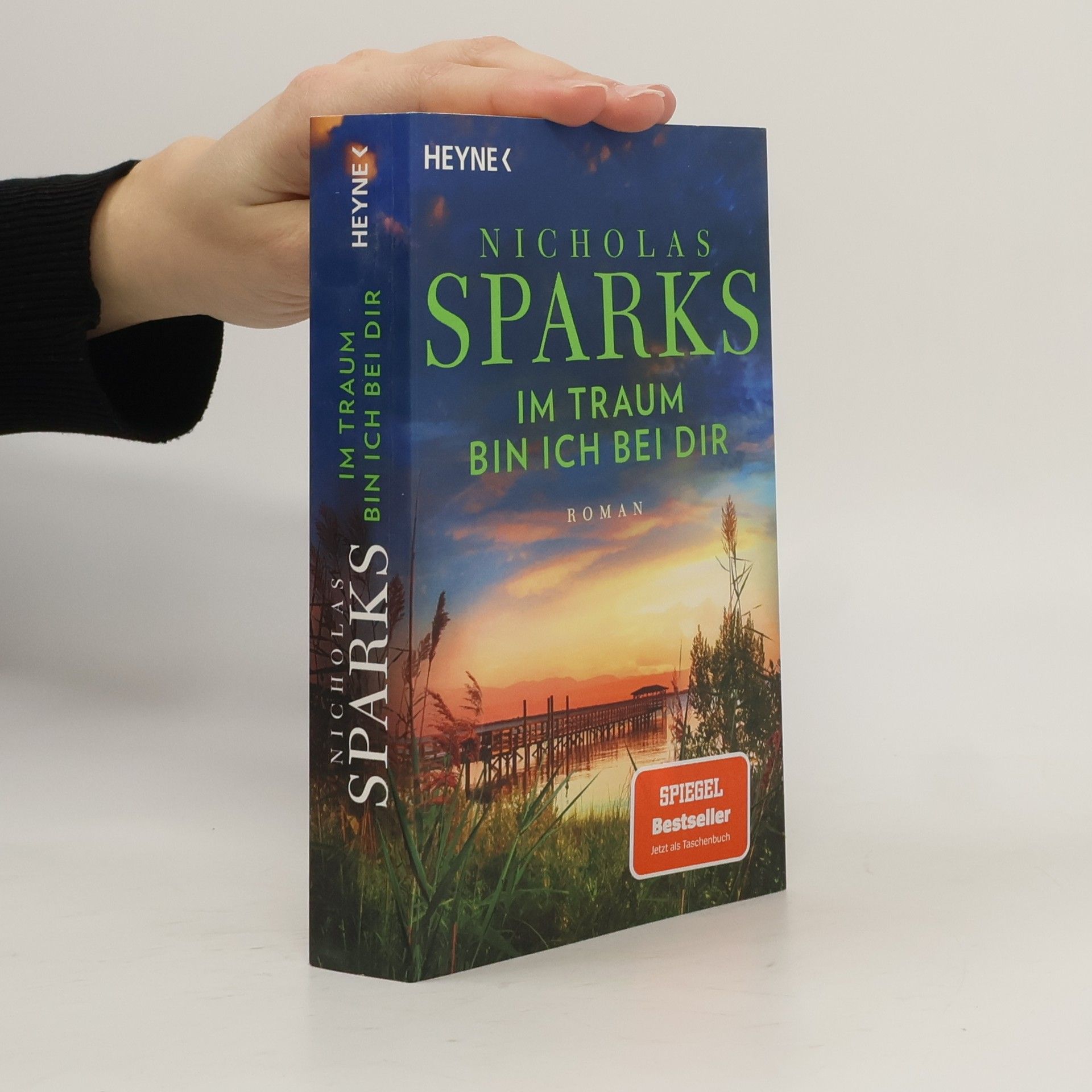 Nicholas Sparks Im Traum bin ich bei dir