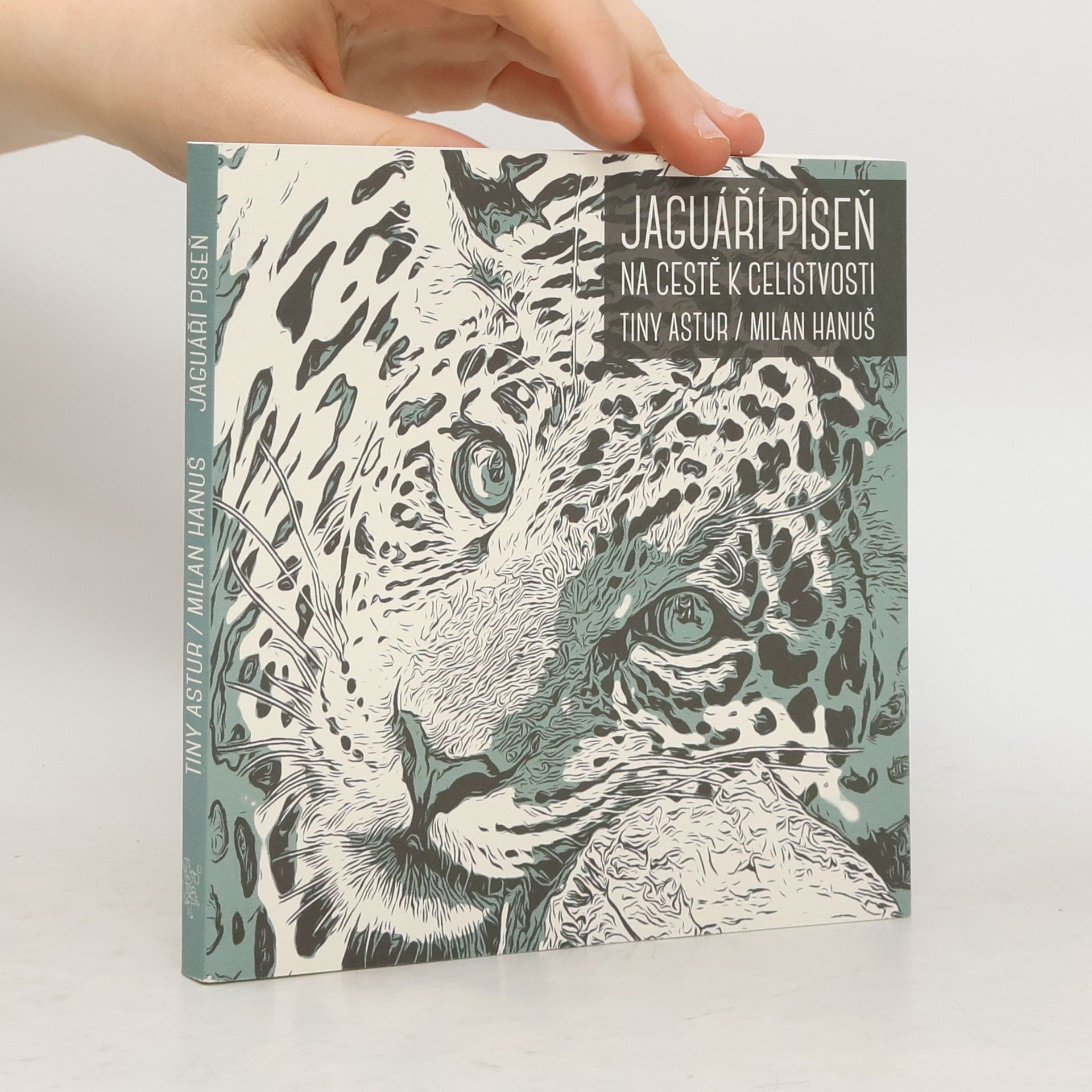 Milan Hanuš Jaguáří píseň : na cestě k celistvosti