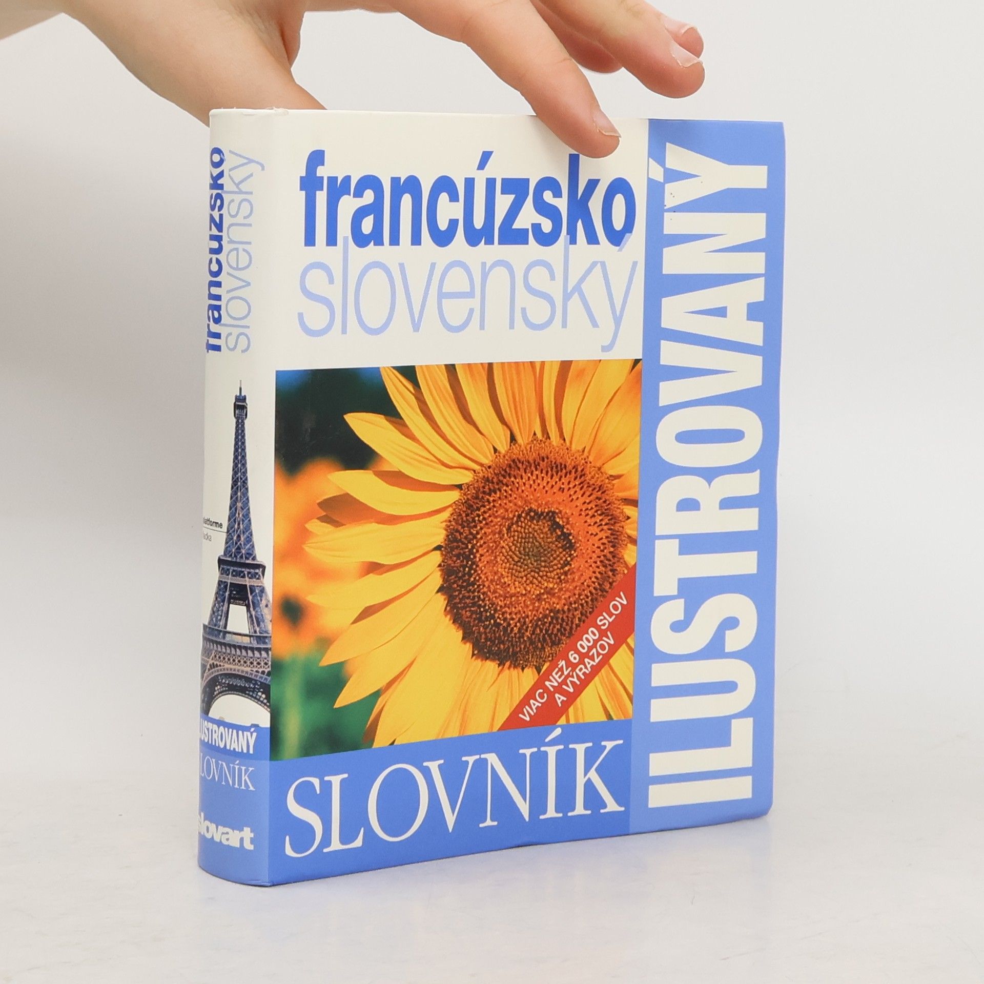 Kolektiv autorů Ilustrovaný dvojjazyčný slovník francúzsko slovenský