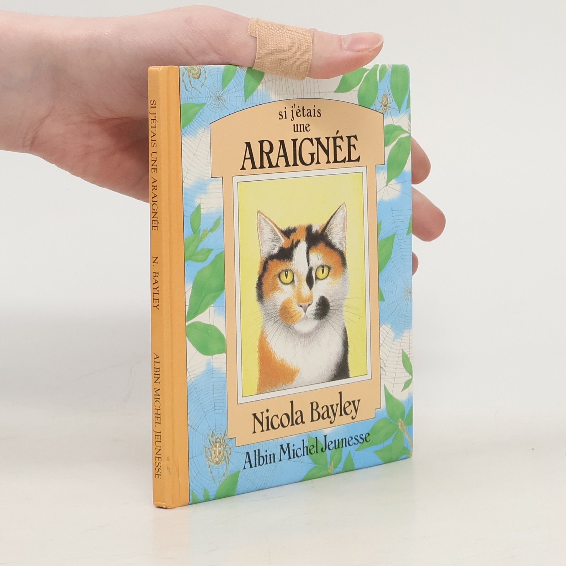 Si j'étais une araignée