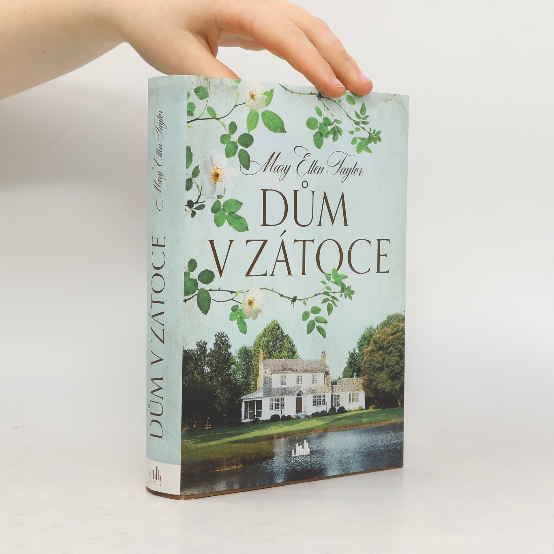 Mary Ellen Taylor Dům v zátoce