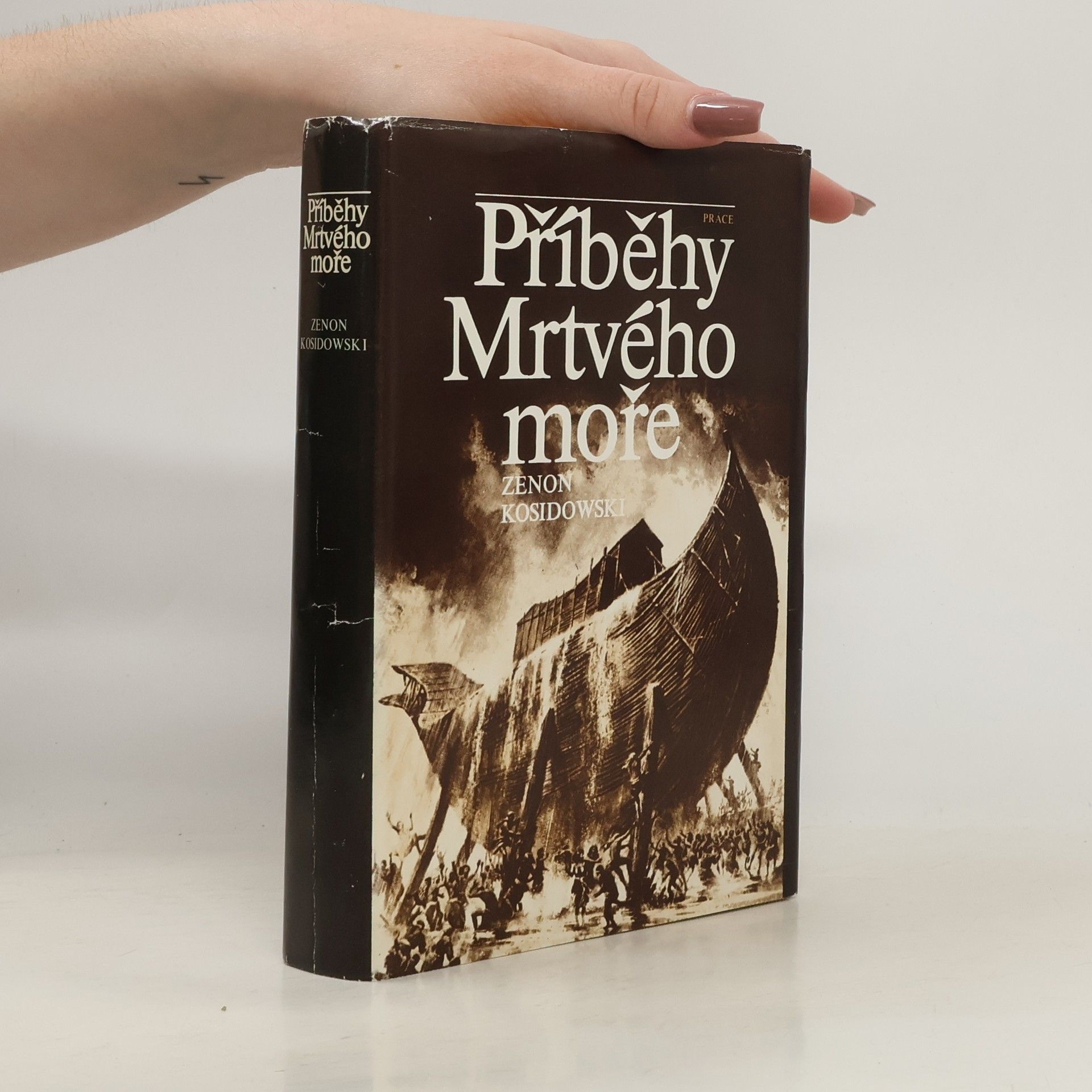 Zenon Kosidowski Příběhy Mrtvého moře