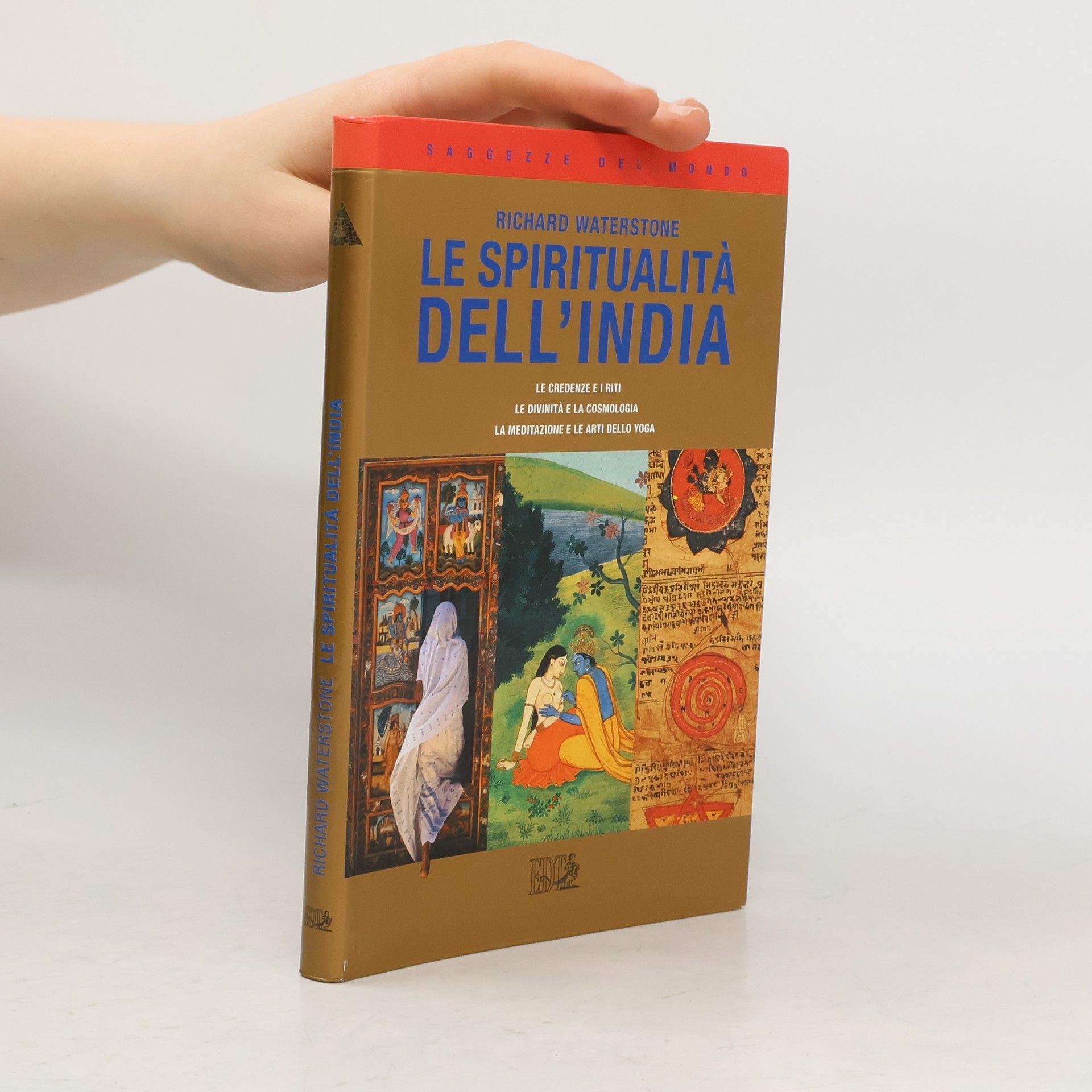 Richard Waterstone Le spiritualità dell'India