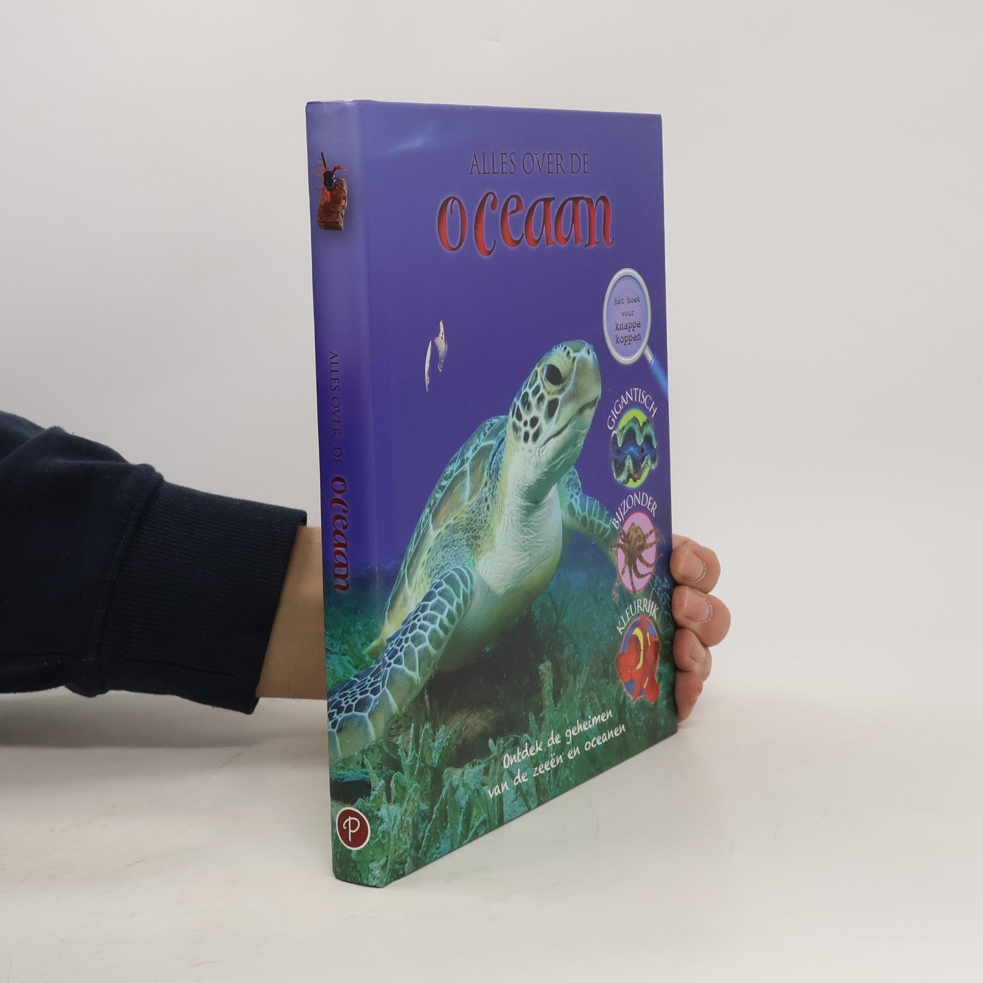 Alles over de oceaan