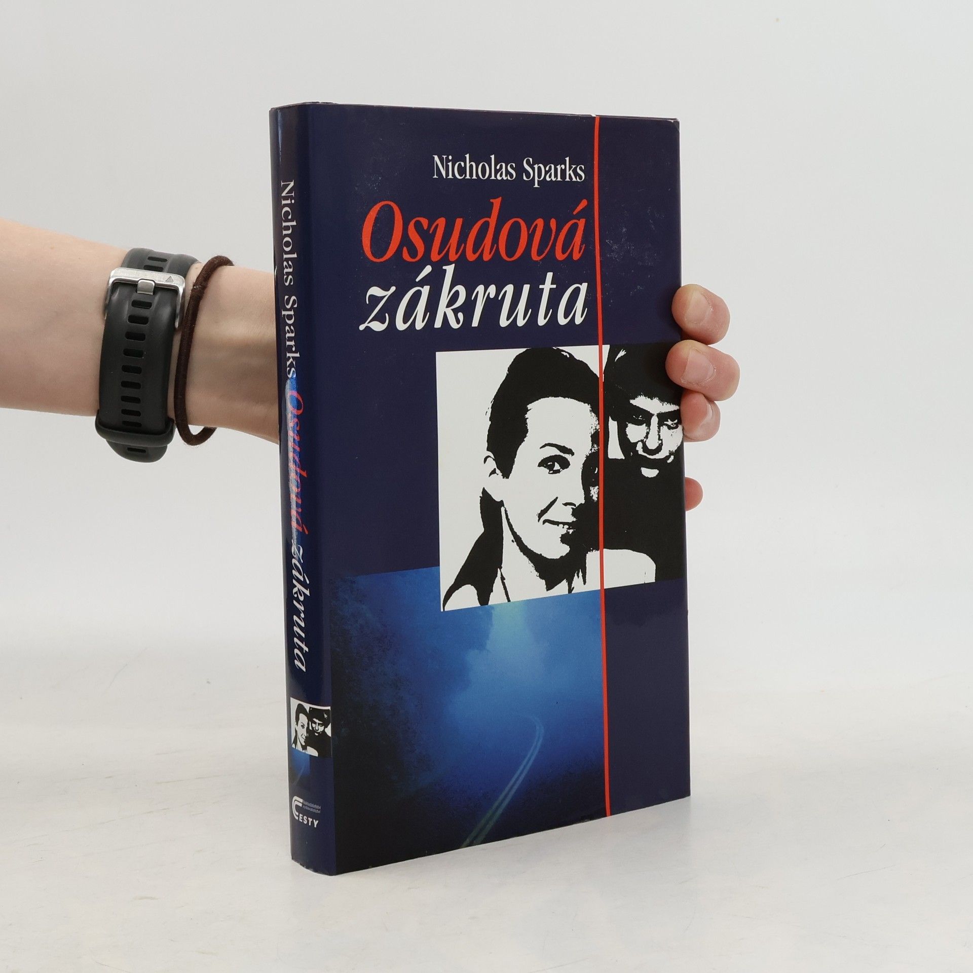 Nicholas Sparks Osudová zákruta