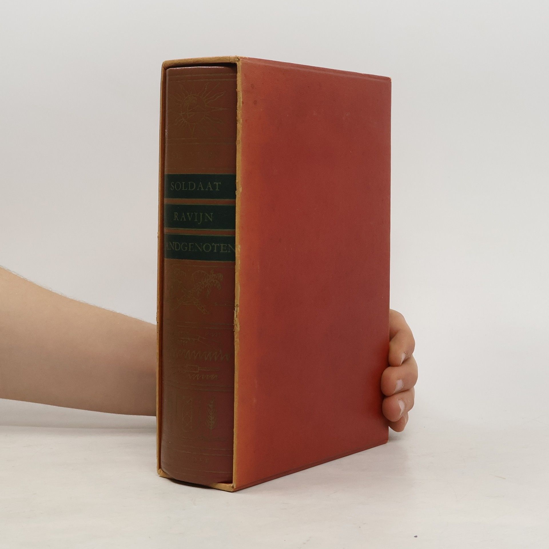 Job Sytzen Soldaat, ravijn, landgenoten