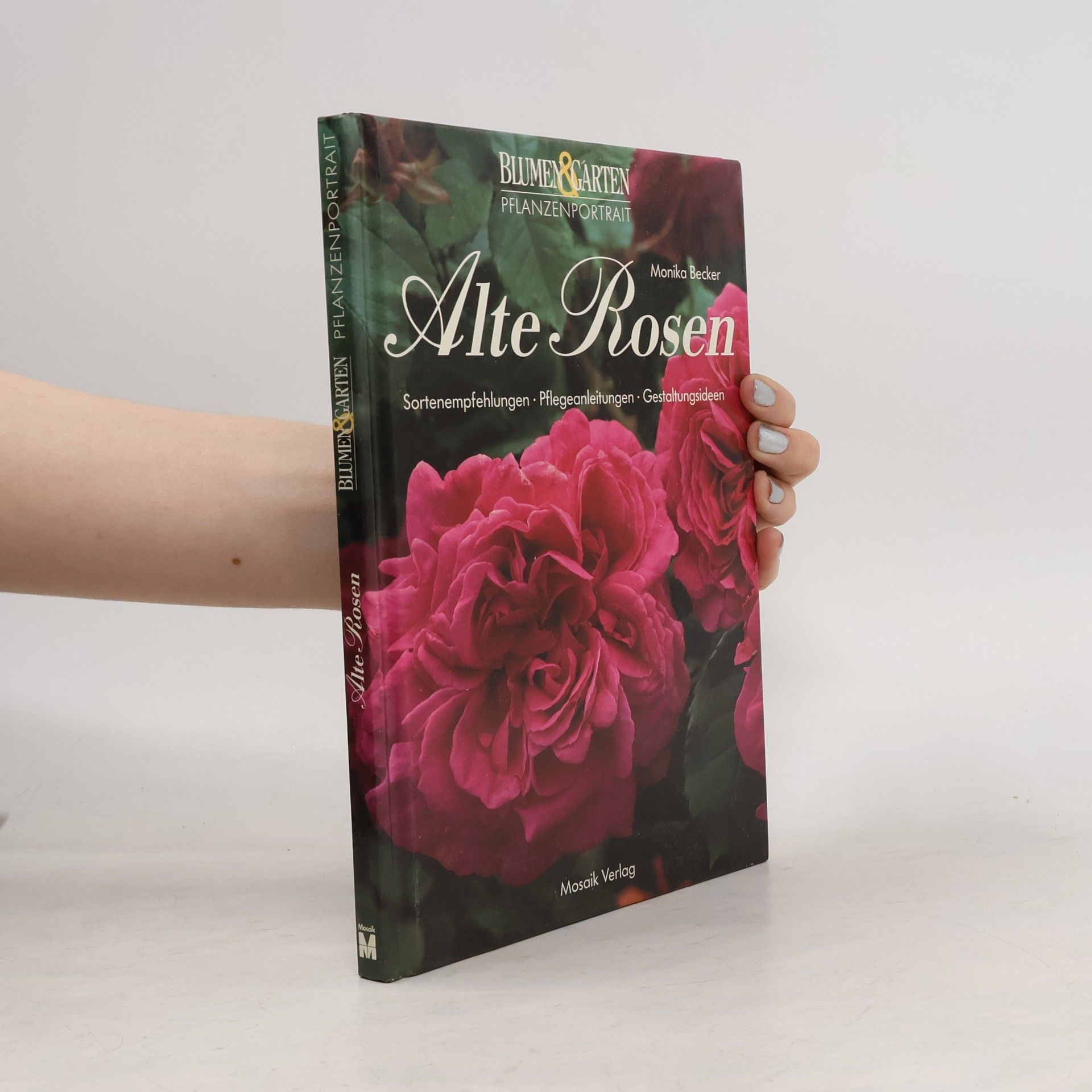 Monika Becker Alte Rosen
