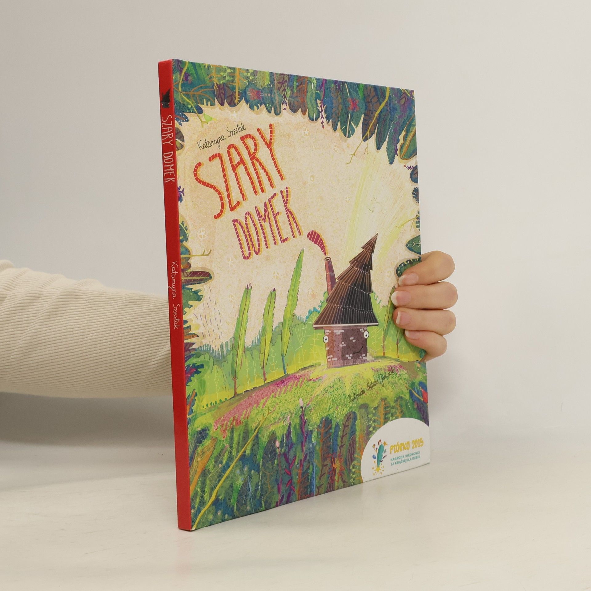 Katarzyna Szestak Szary Domek